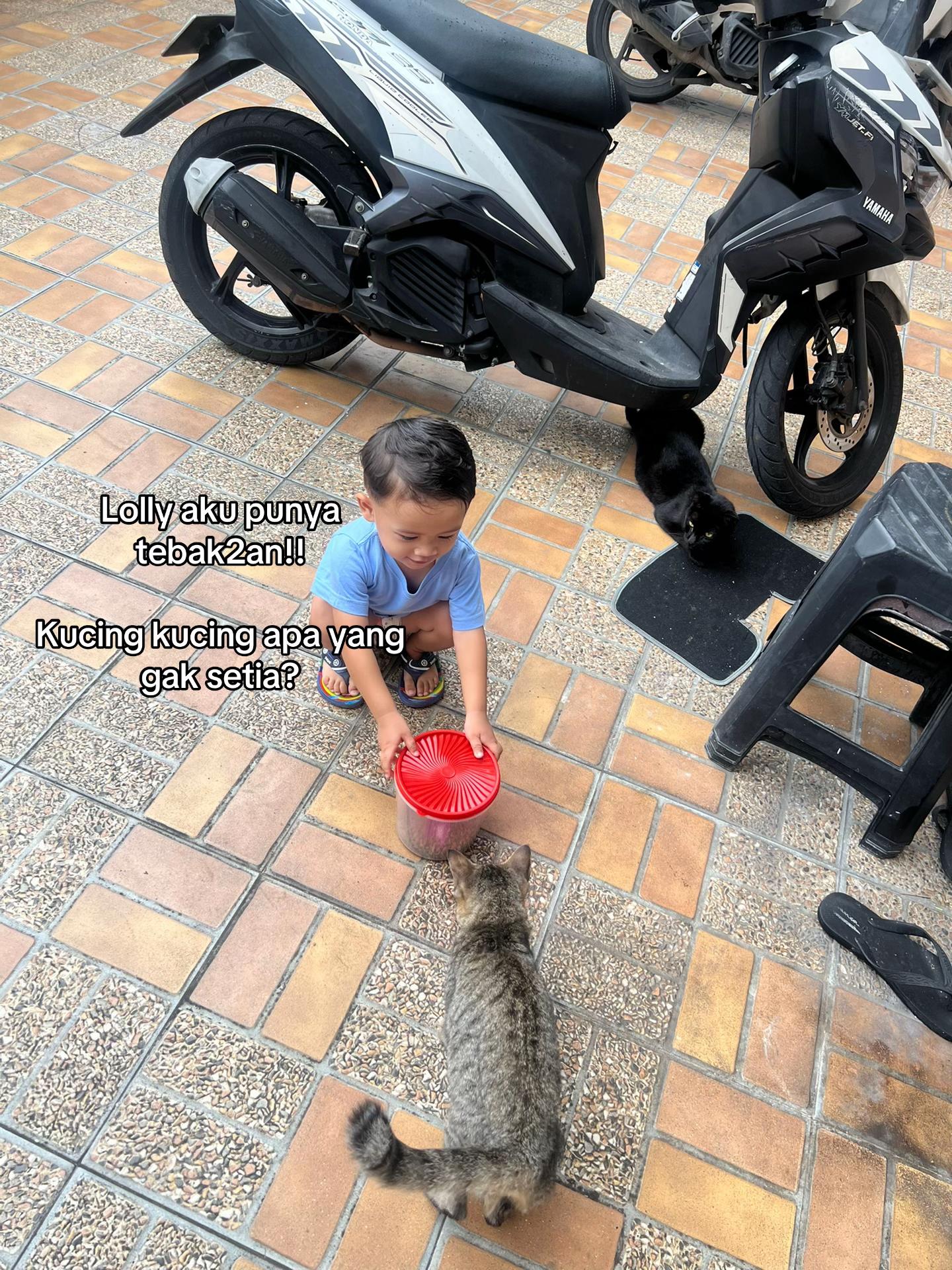 @Haqhaqcatsnfams