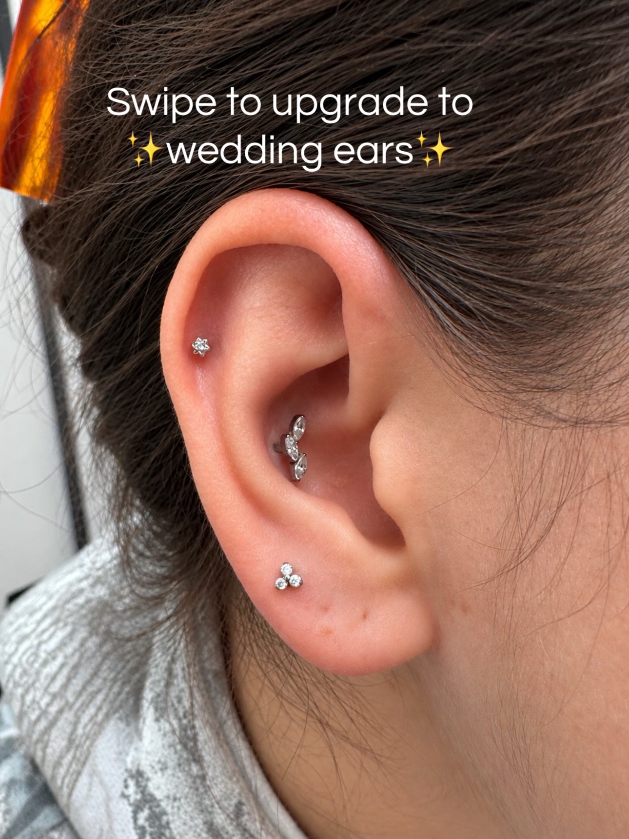 @The Curated Lobe