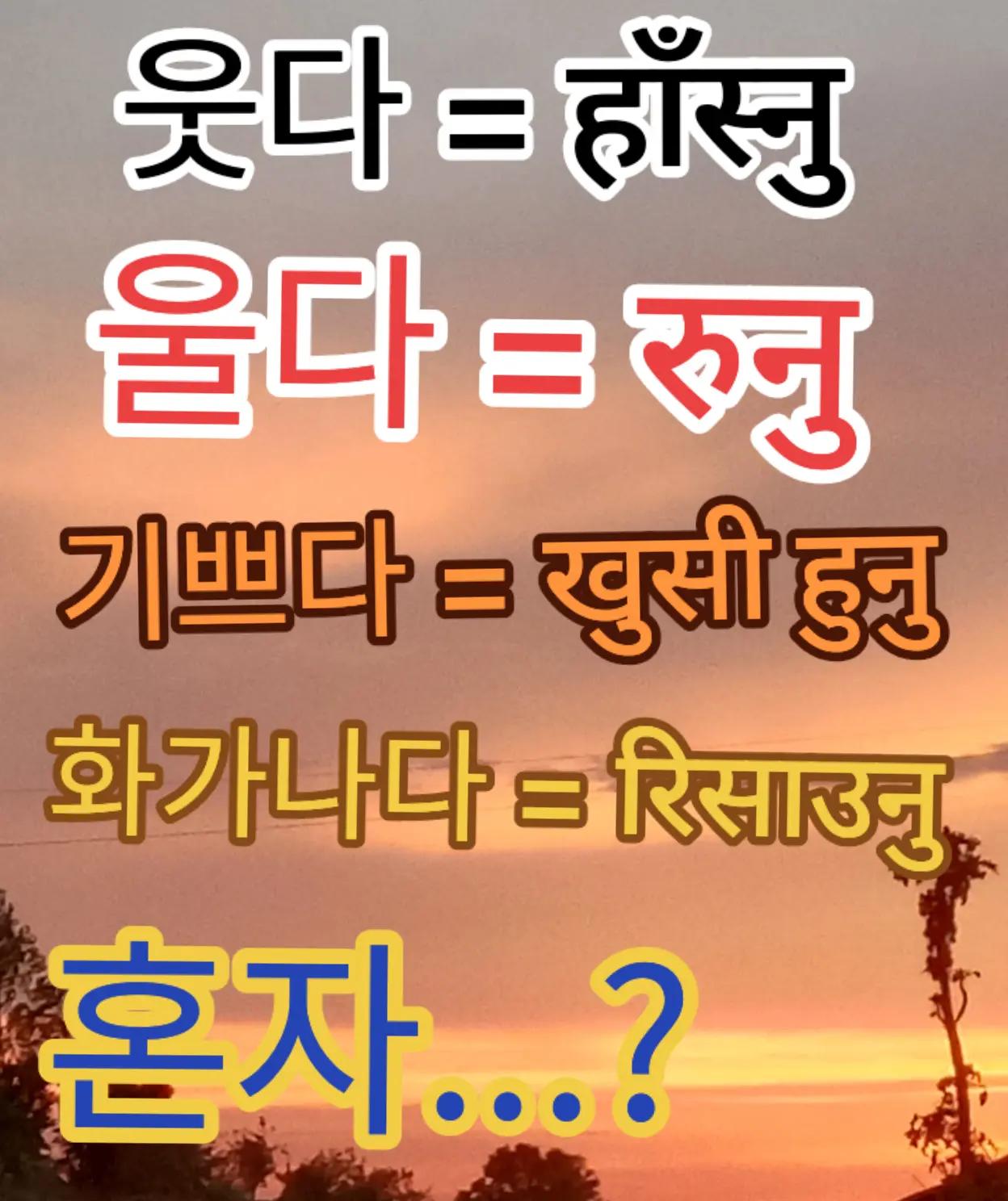 @꿈 한국🇰🇷🇳🇵