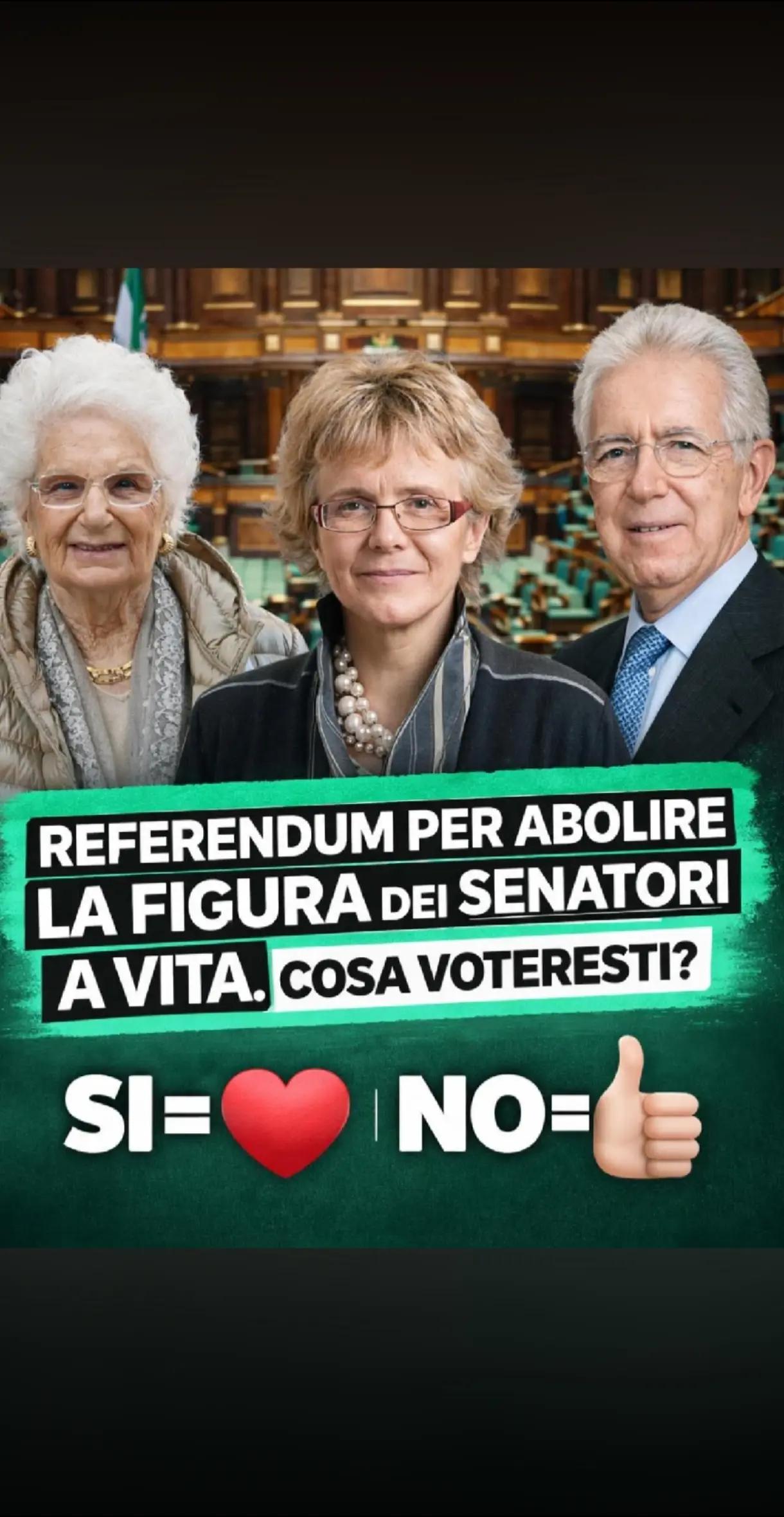 @carmelitosdobuggu