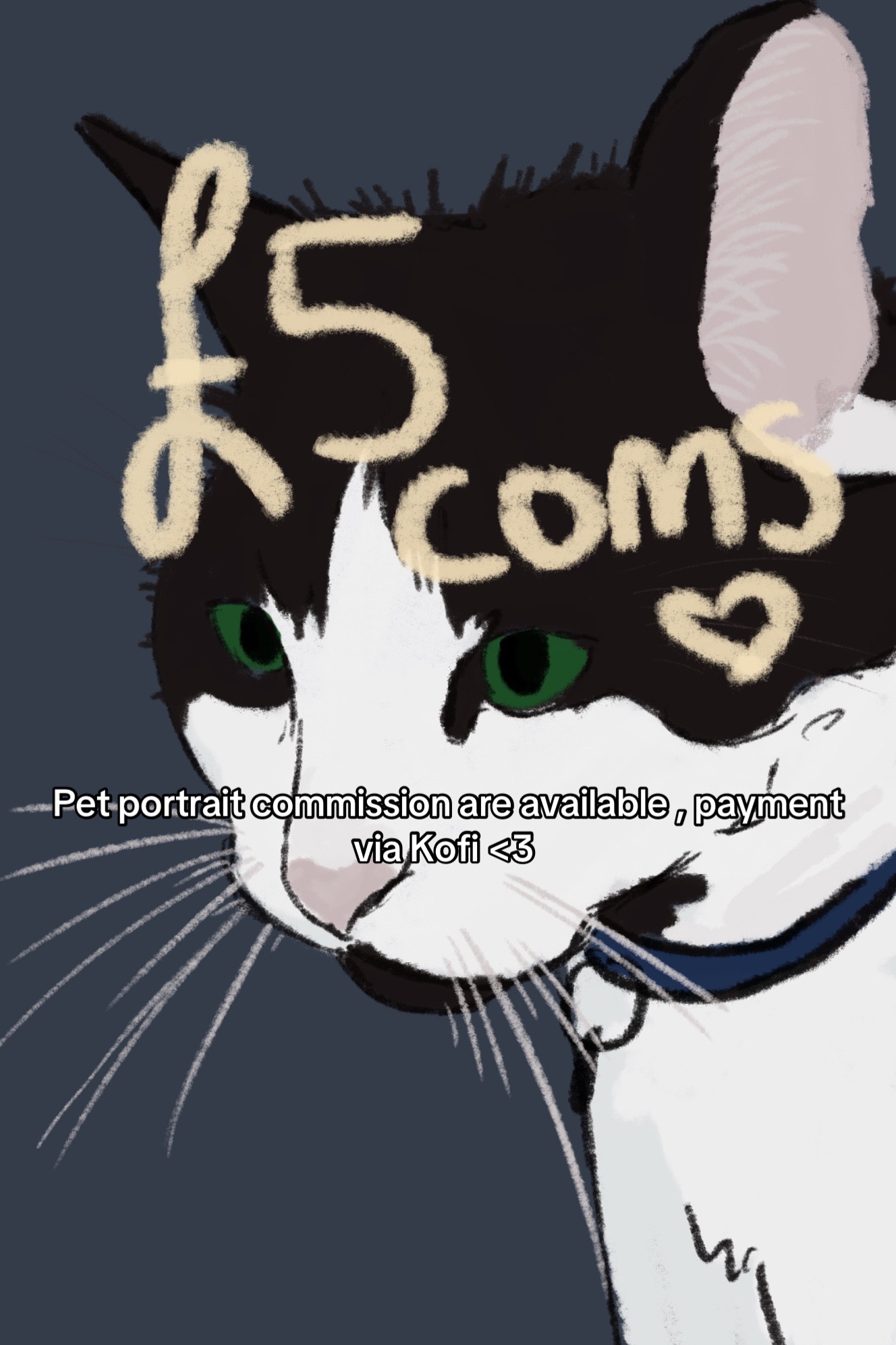 @Trash_p4ndaaa(comms open)