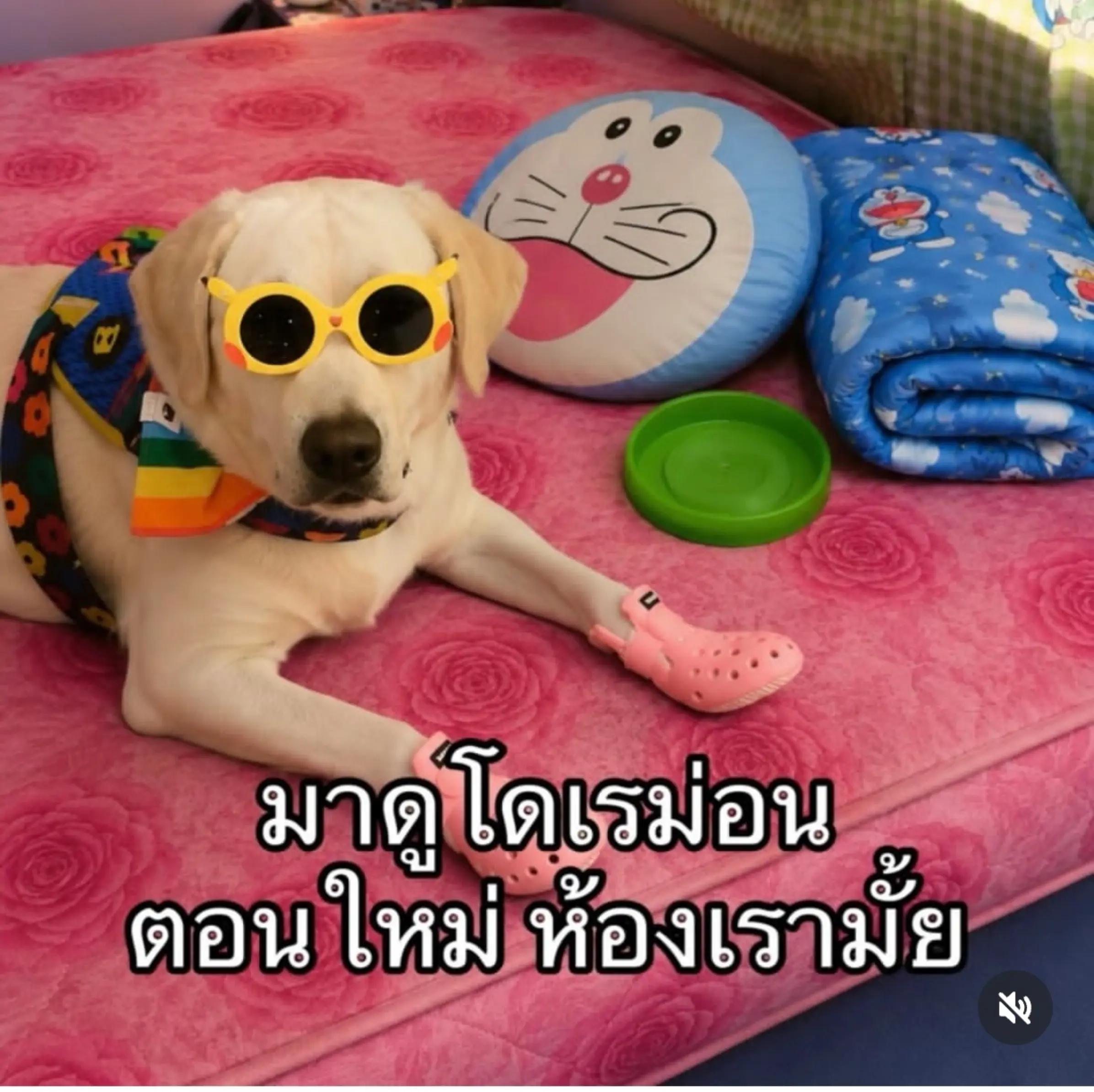 @🧸🐆นุชจ๋า🐒🧸