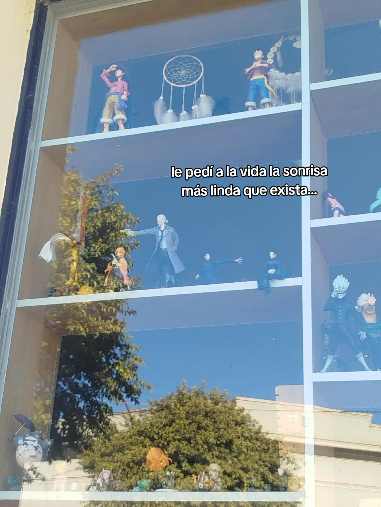 @shann va a ver a jeongin