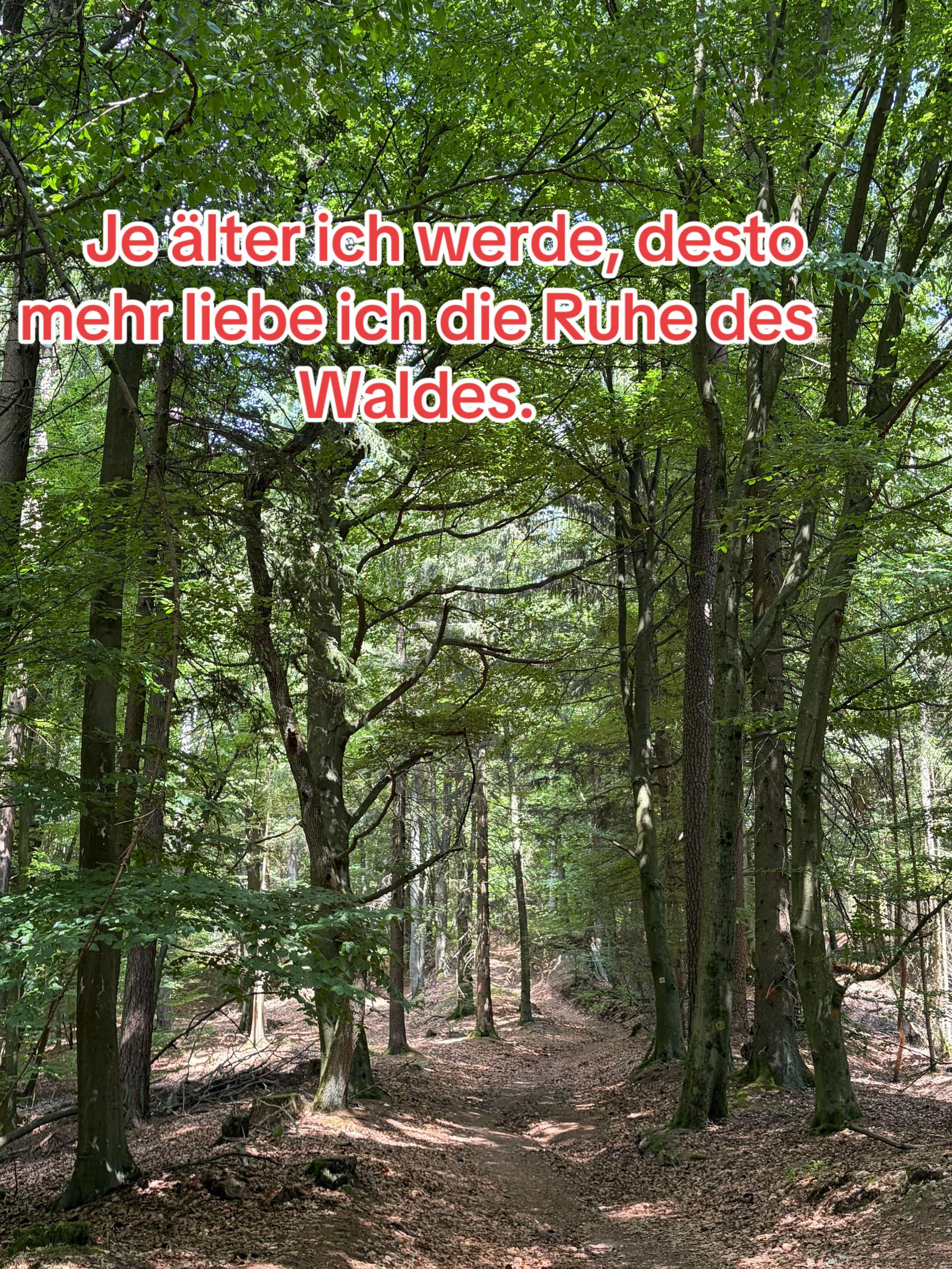 @Manuela Lutz