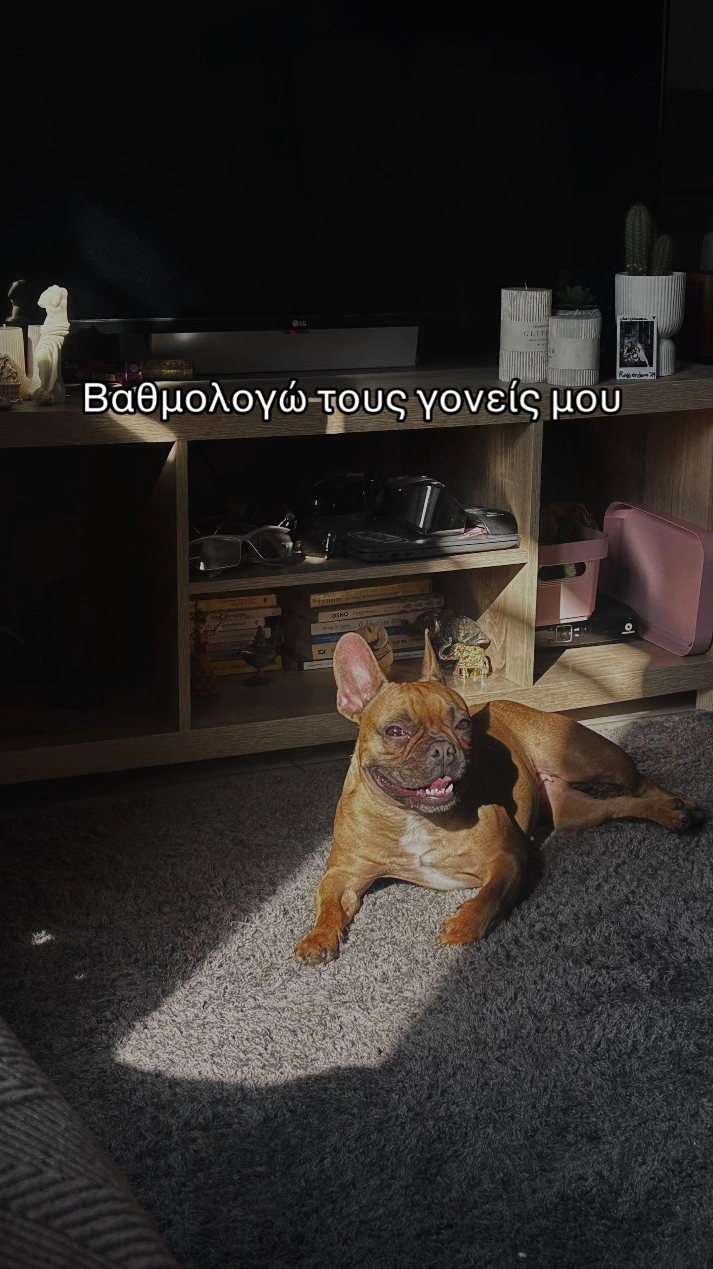 @Nefeli