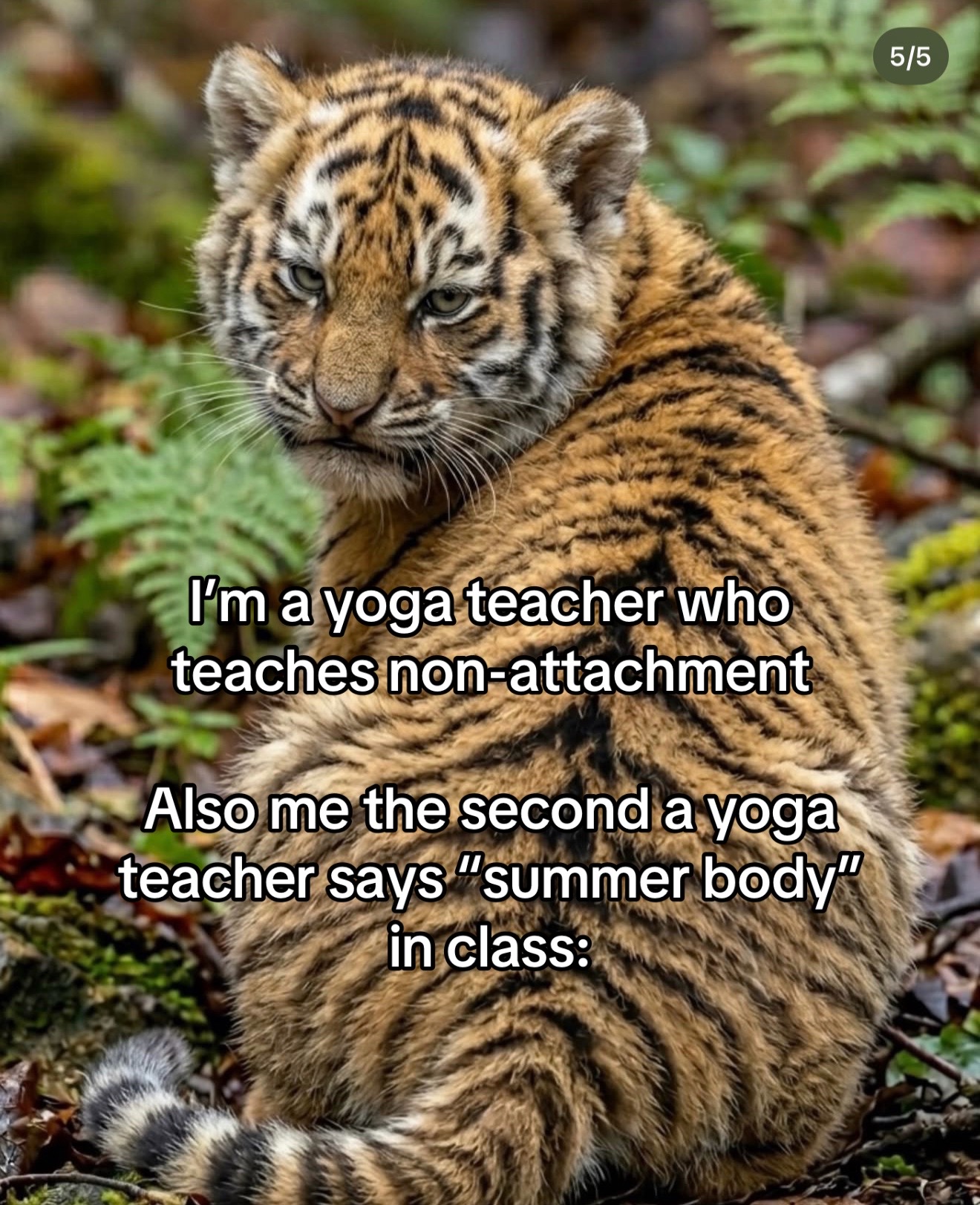 @Ashlee | Yoga Teacher