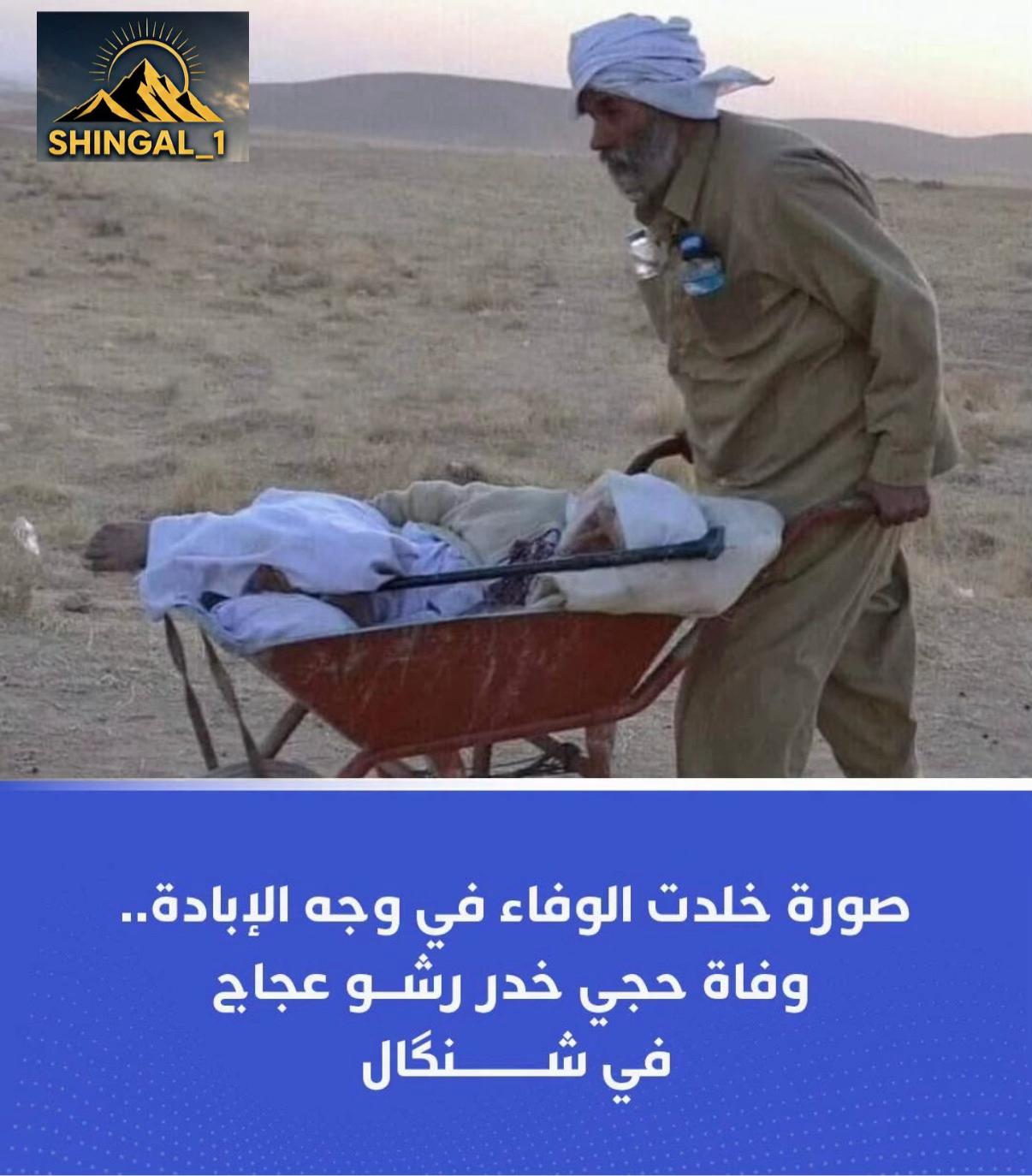 @shingal_1