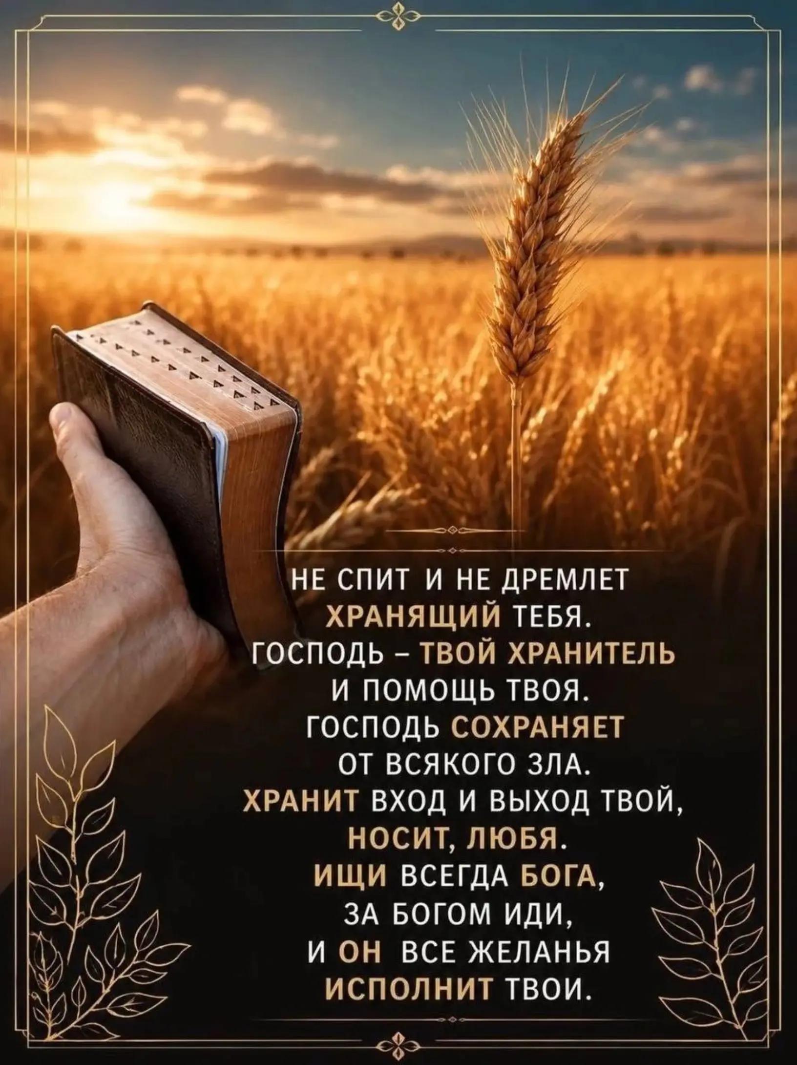 @user6103751502842светлана