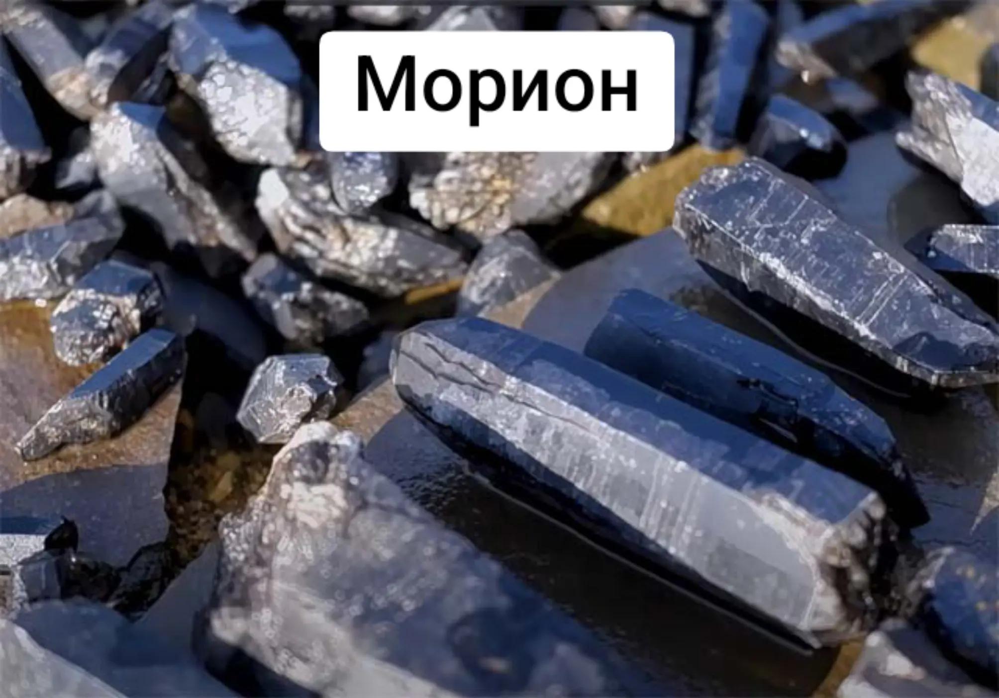 @Лëса