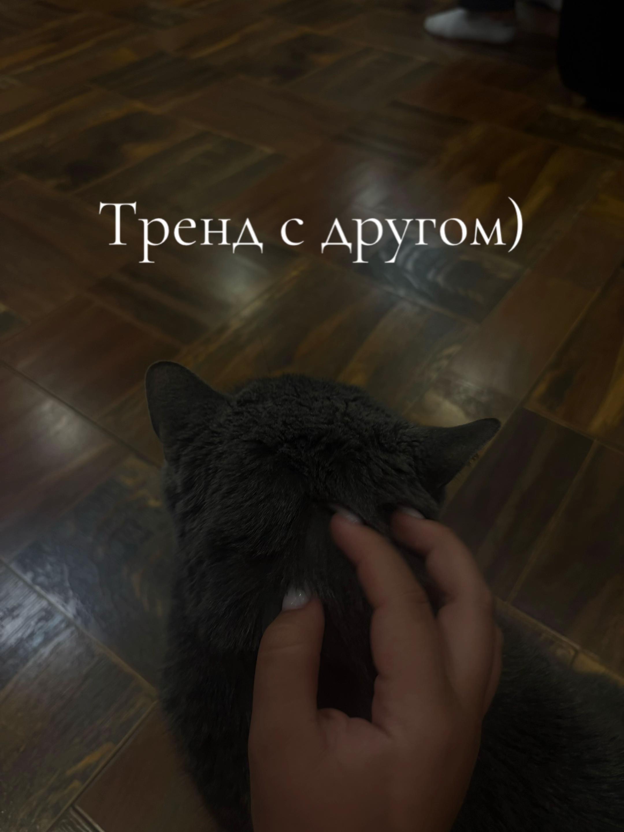 @Чёрная корона 👑🖤