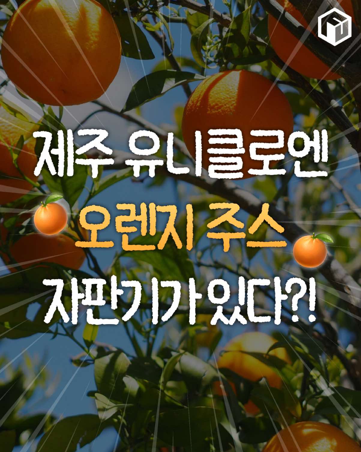@제주톡톡