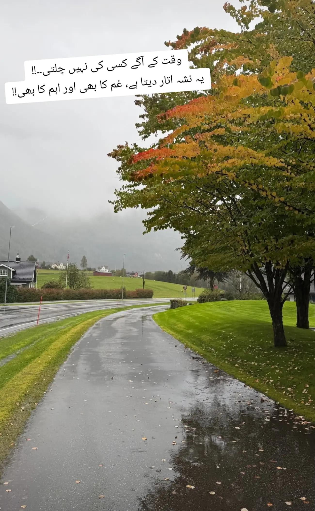 @MountainBOY🇳🇴🇨🇭🇦🇹🇵🇰