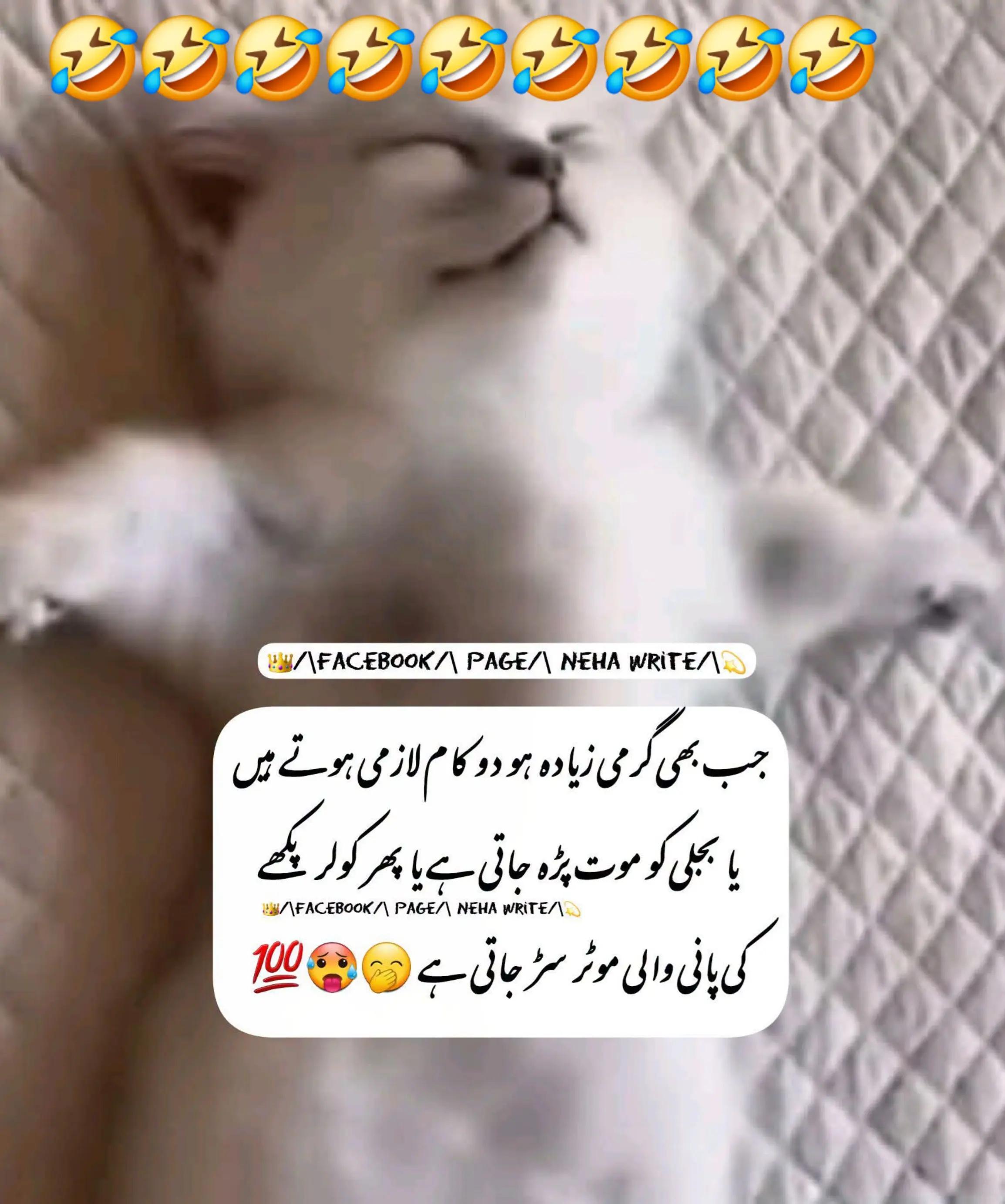 @🌹MeEm jEe SHeIkH میم جی 🌹Uk