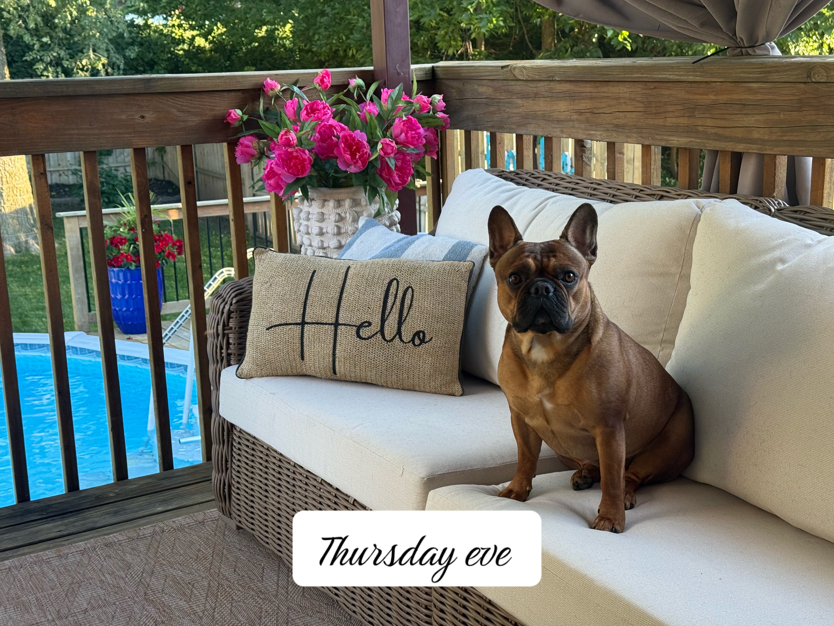 @Yvonnes Home 🐾 🌺