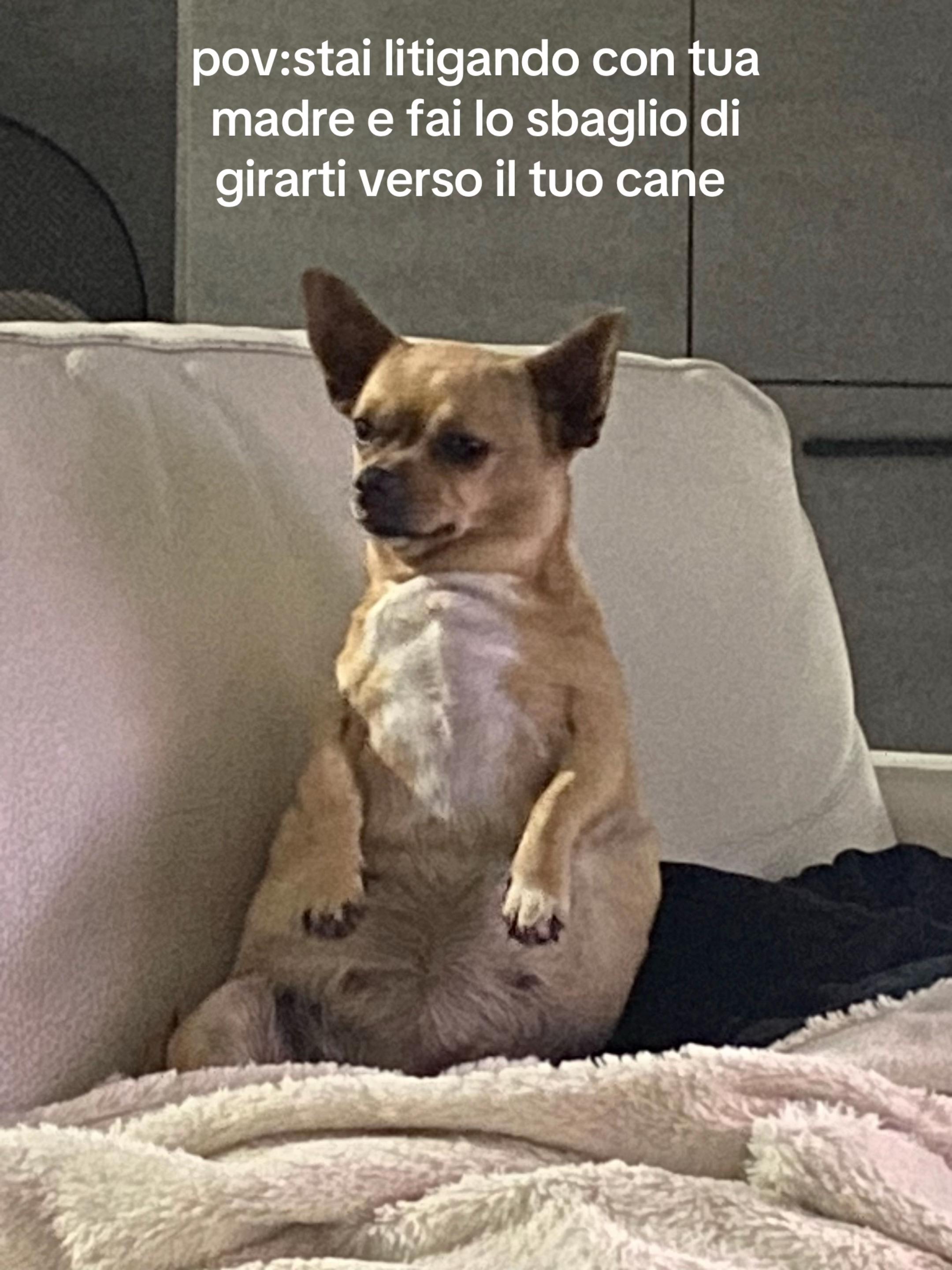 @carlotta caputo