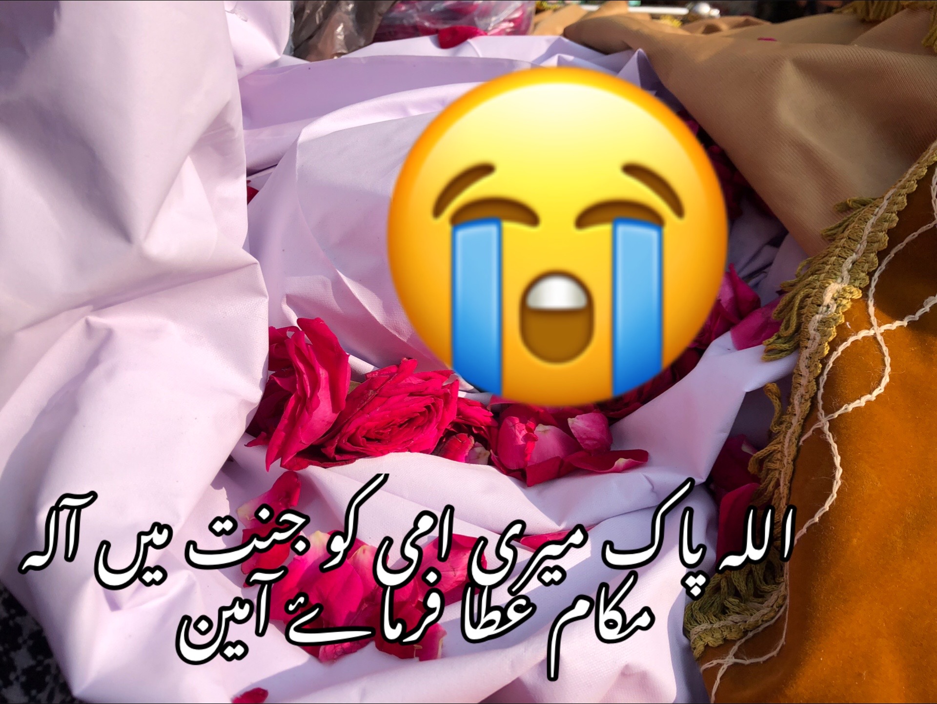 @Mian  islam Dhuddi
