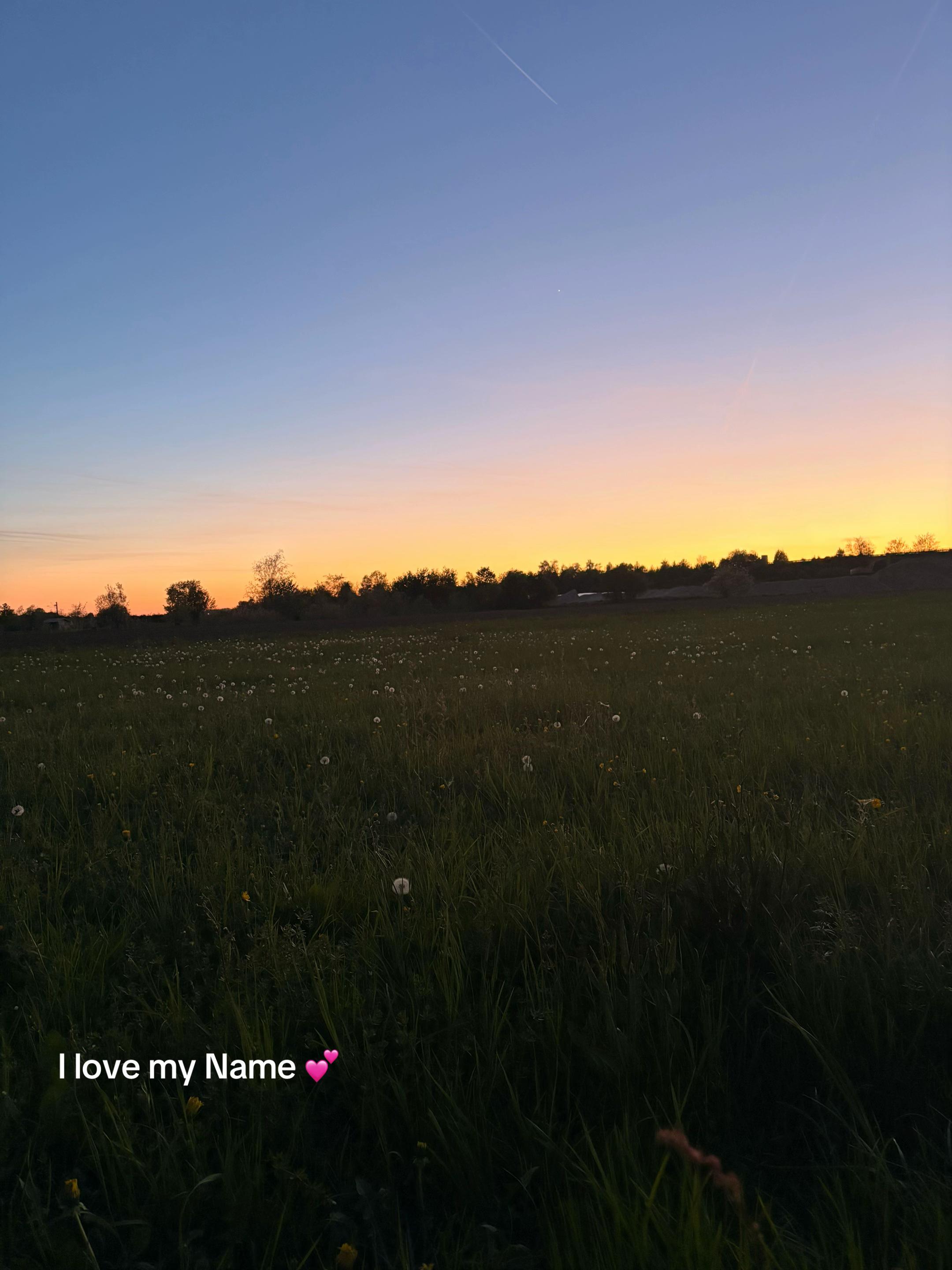 @𝑯𝒂𝒍𝒚 ッ