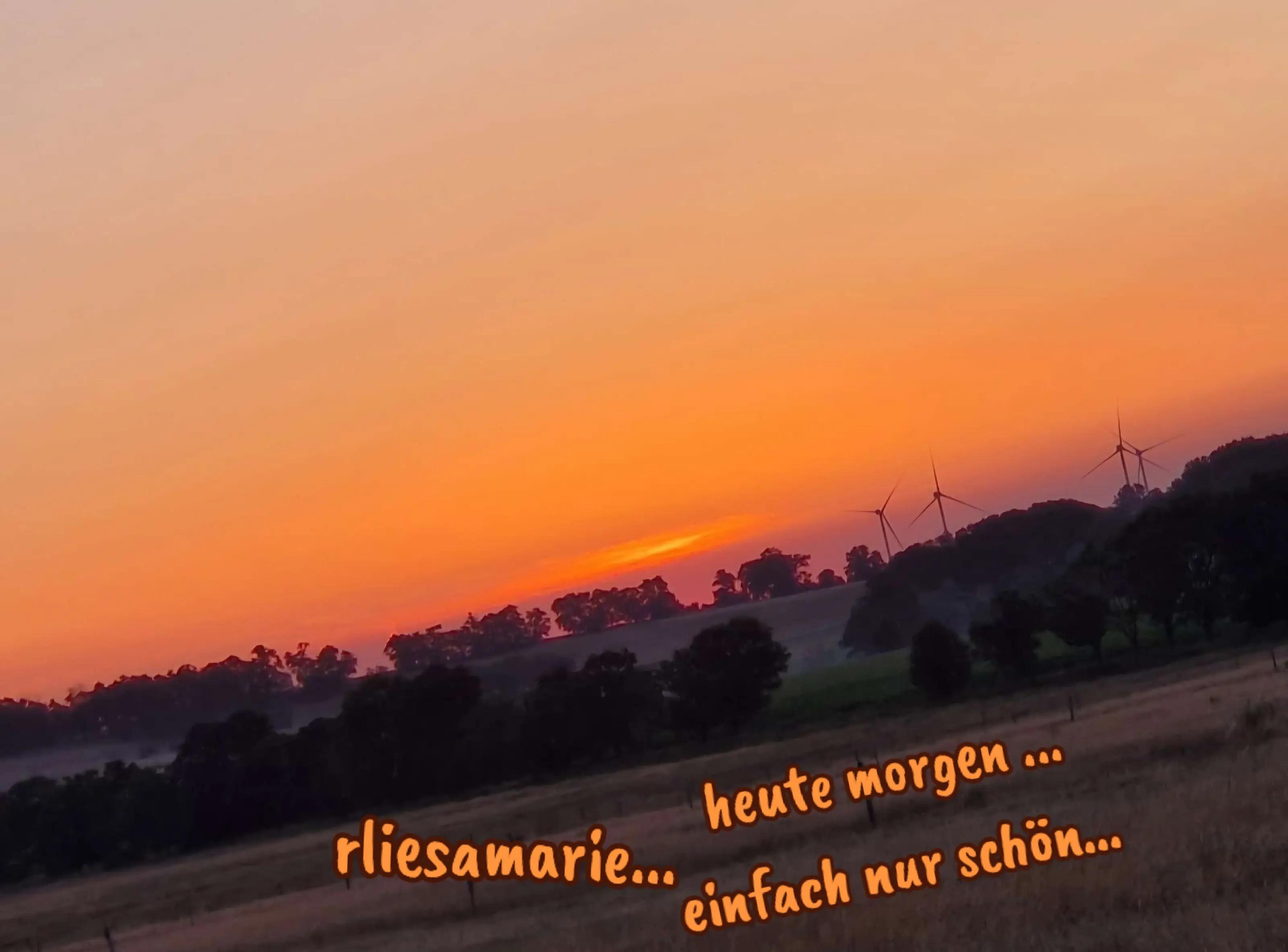 @rliesamarie...rlm