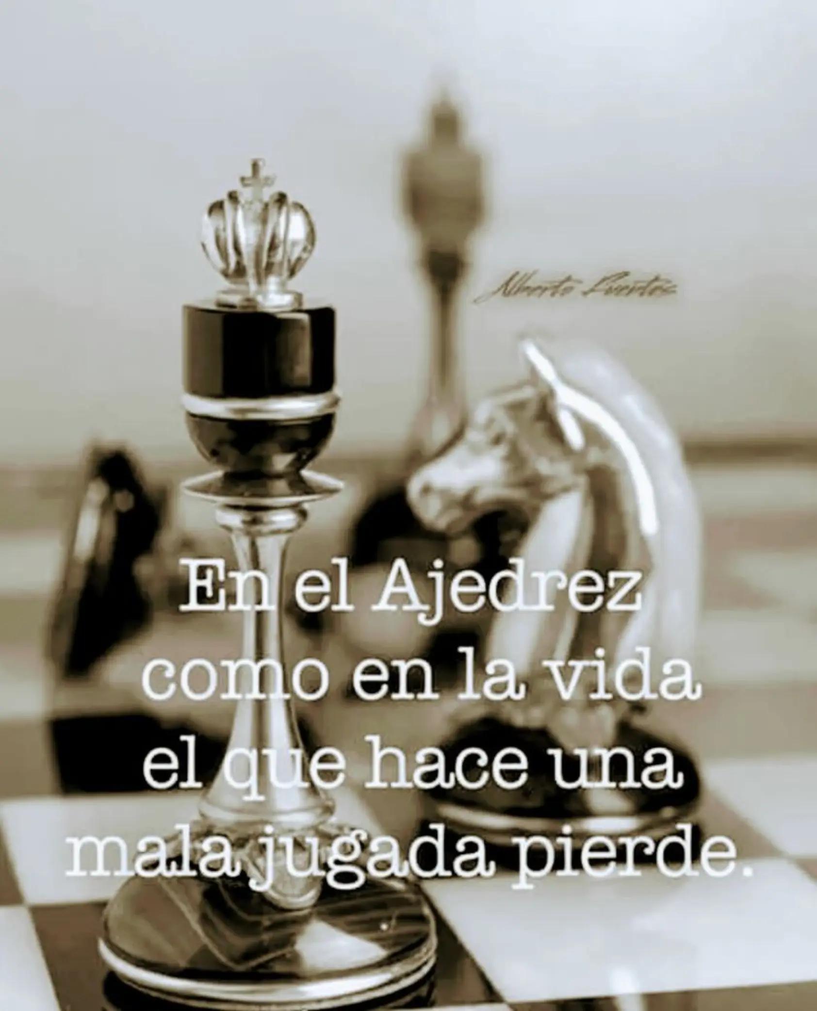 @erikabravo258