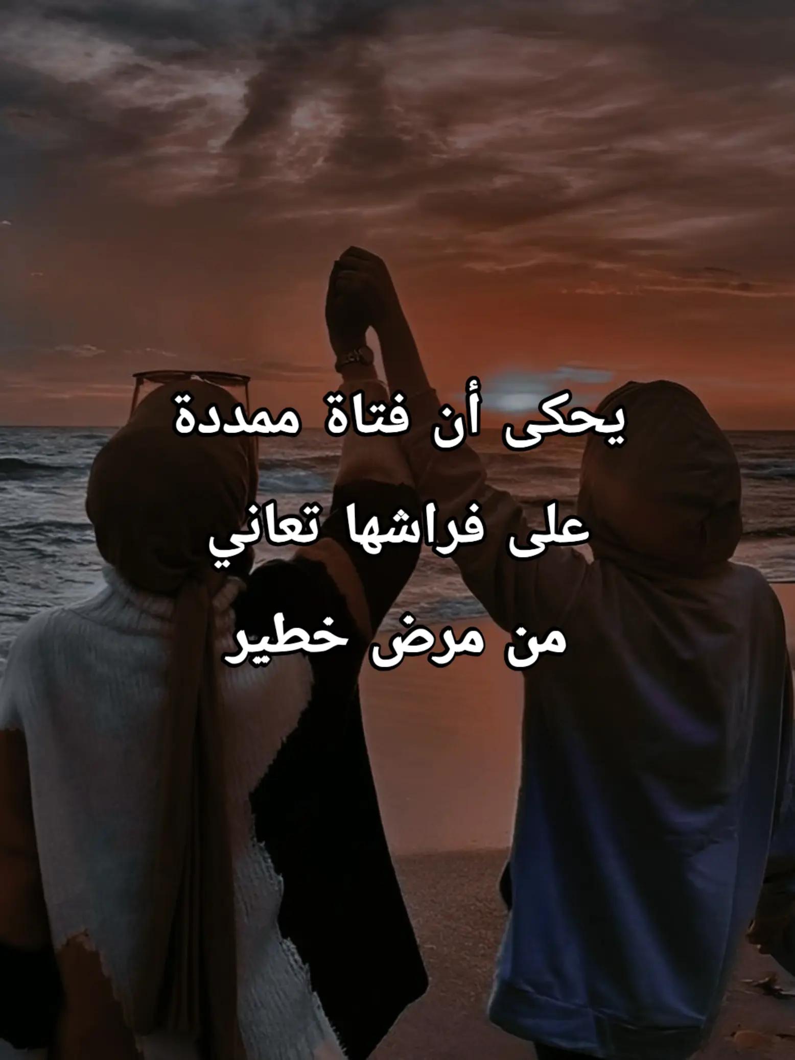 @𓆩 رفيـــــق الـــــــــدرب 𓆪