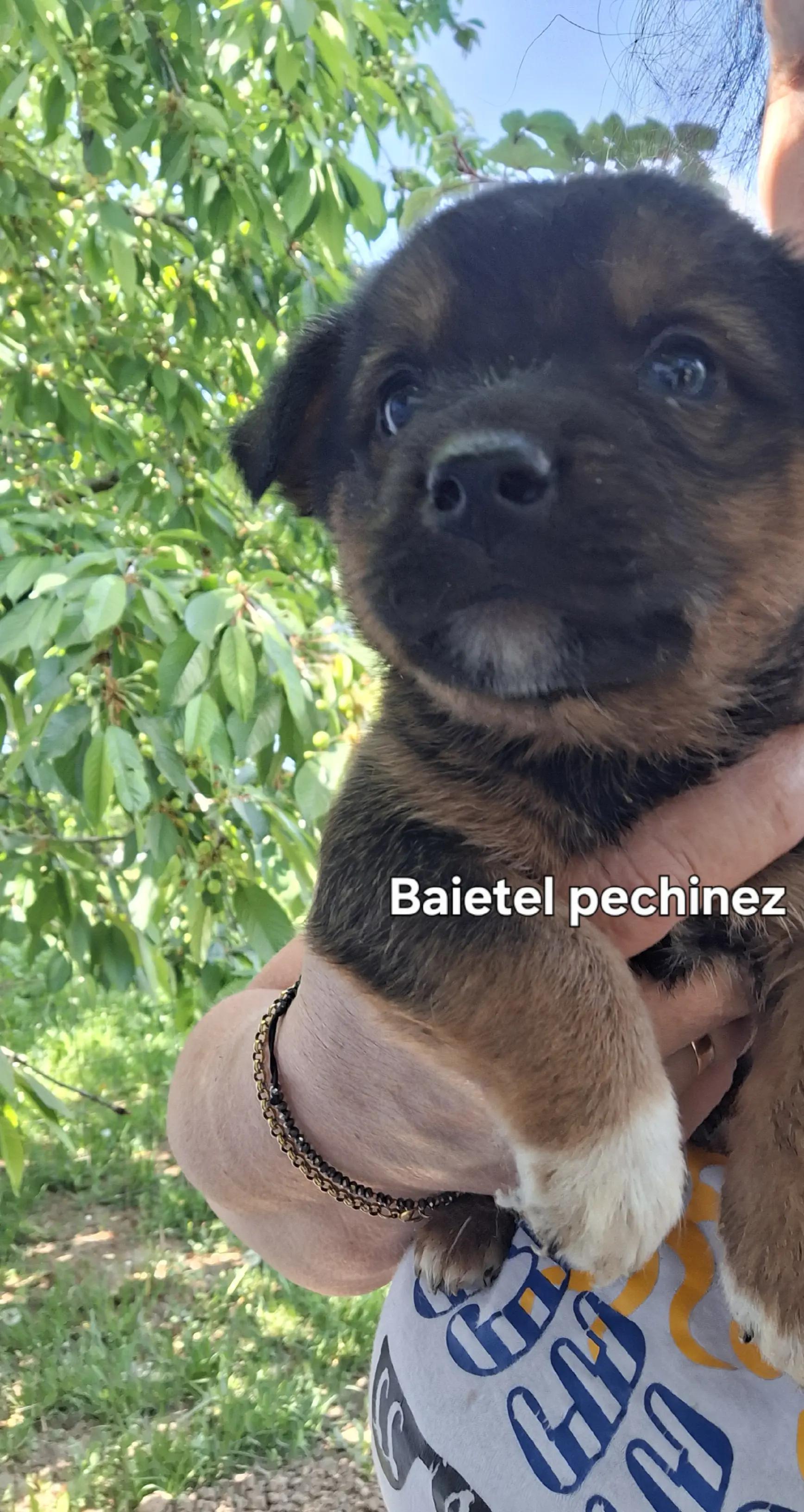 @Blanosii nordului