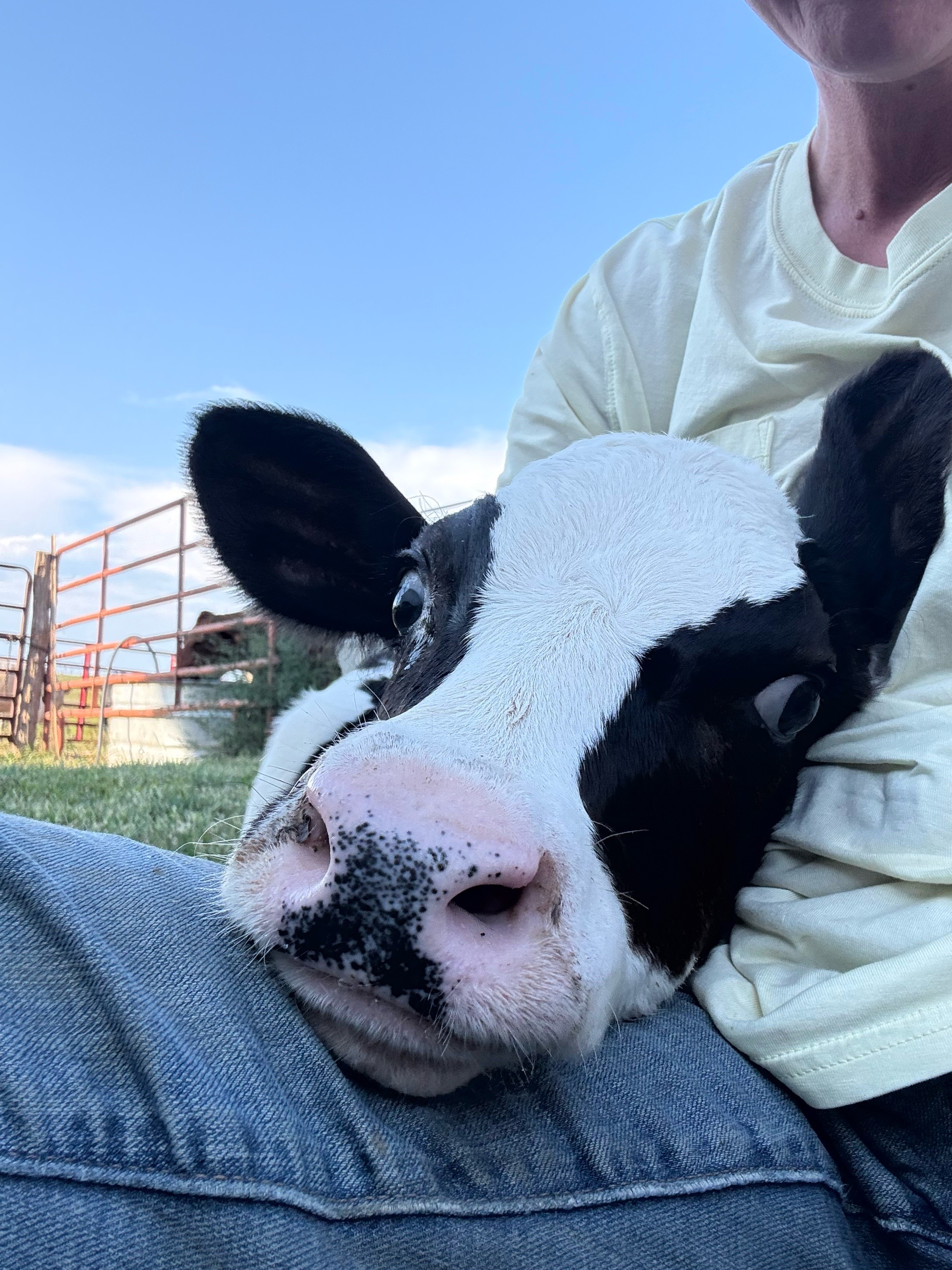 @kl2farms