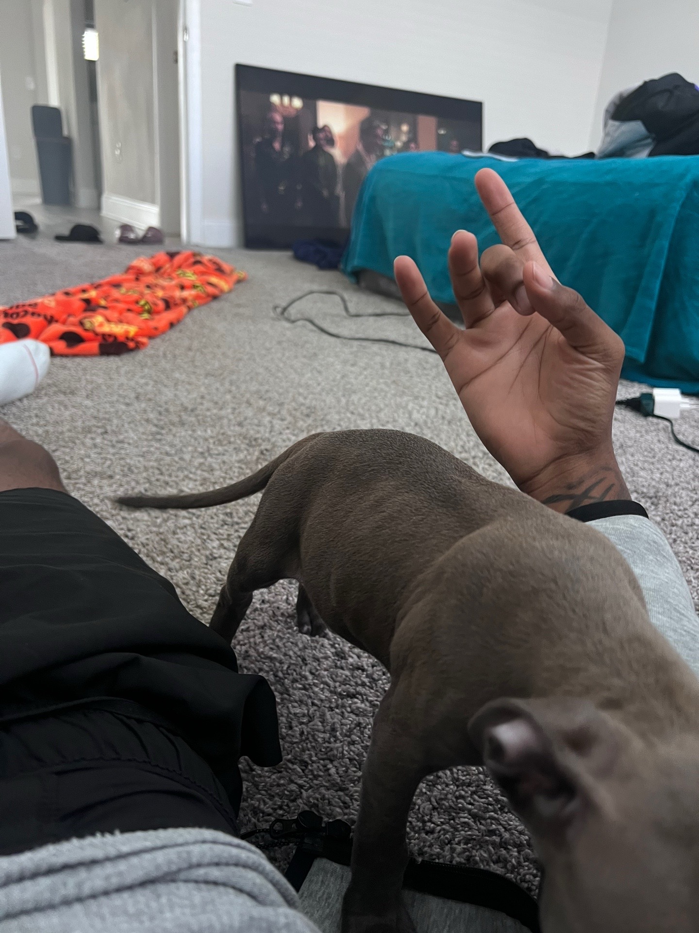 @Lasiah0xx