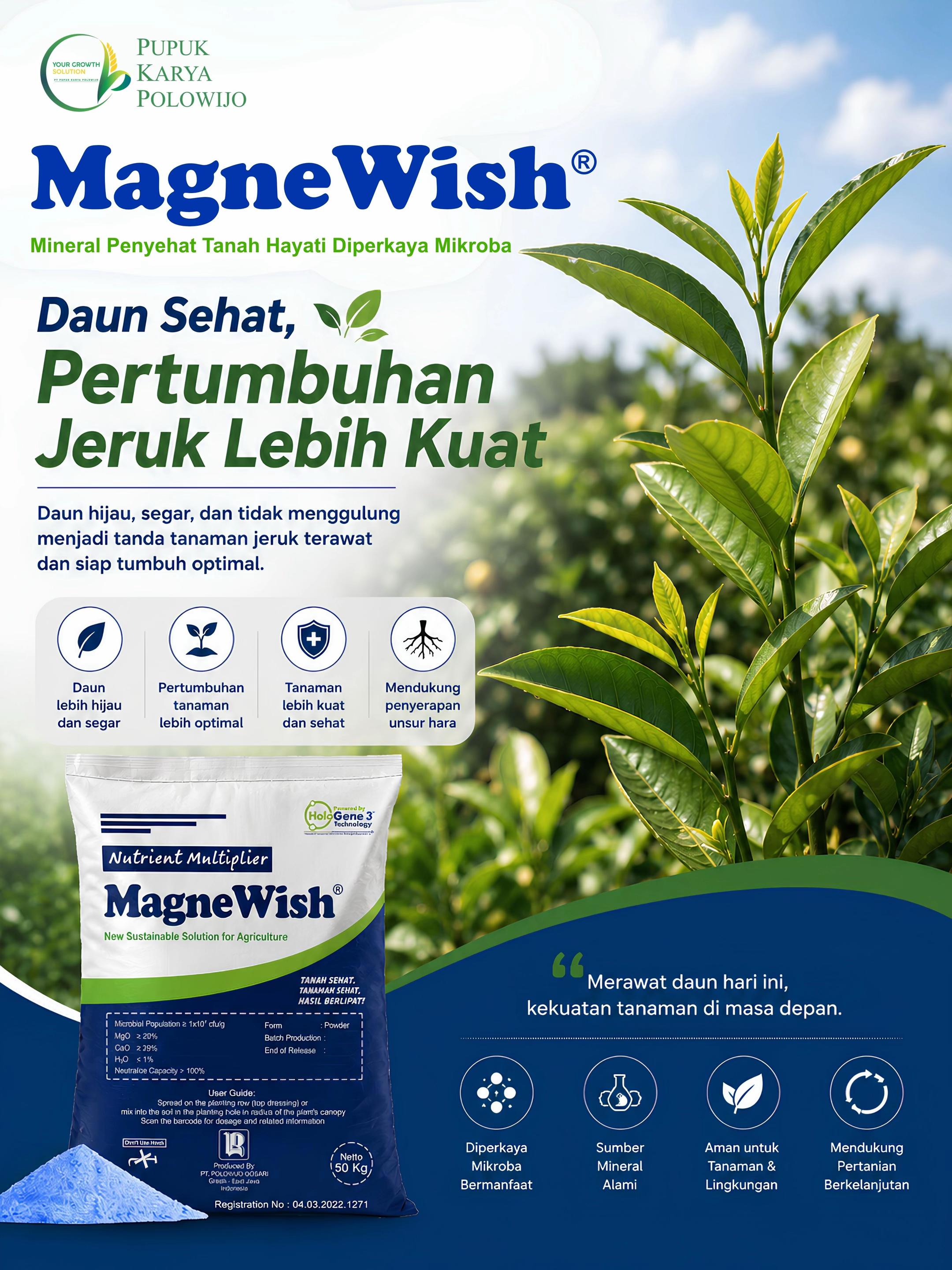 @MagneWish