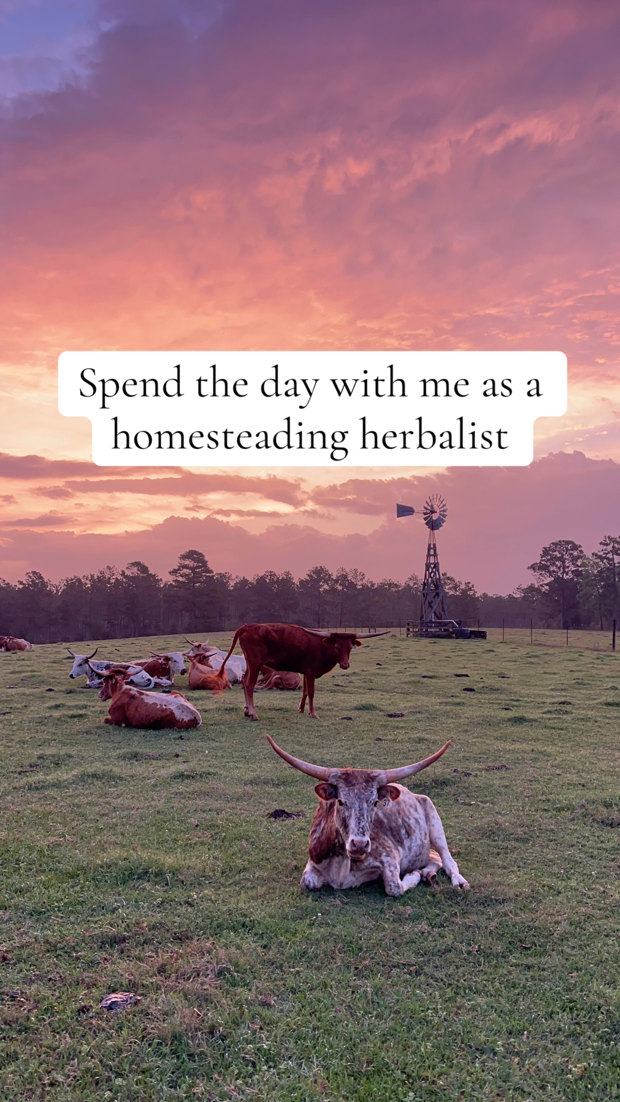 @herbalishapothecary