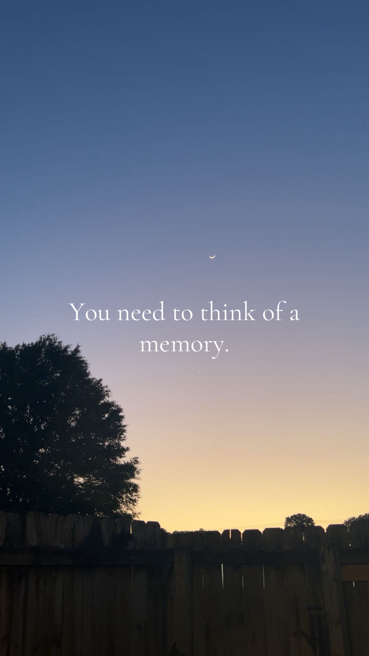 @⋆˚࿔ 𝓒𝓪𝔂𝓵𝓪 𝜗𝜚˚⋆