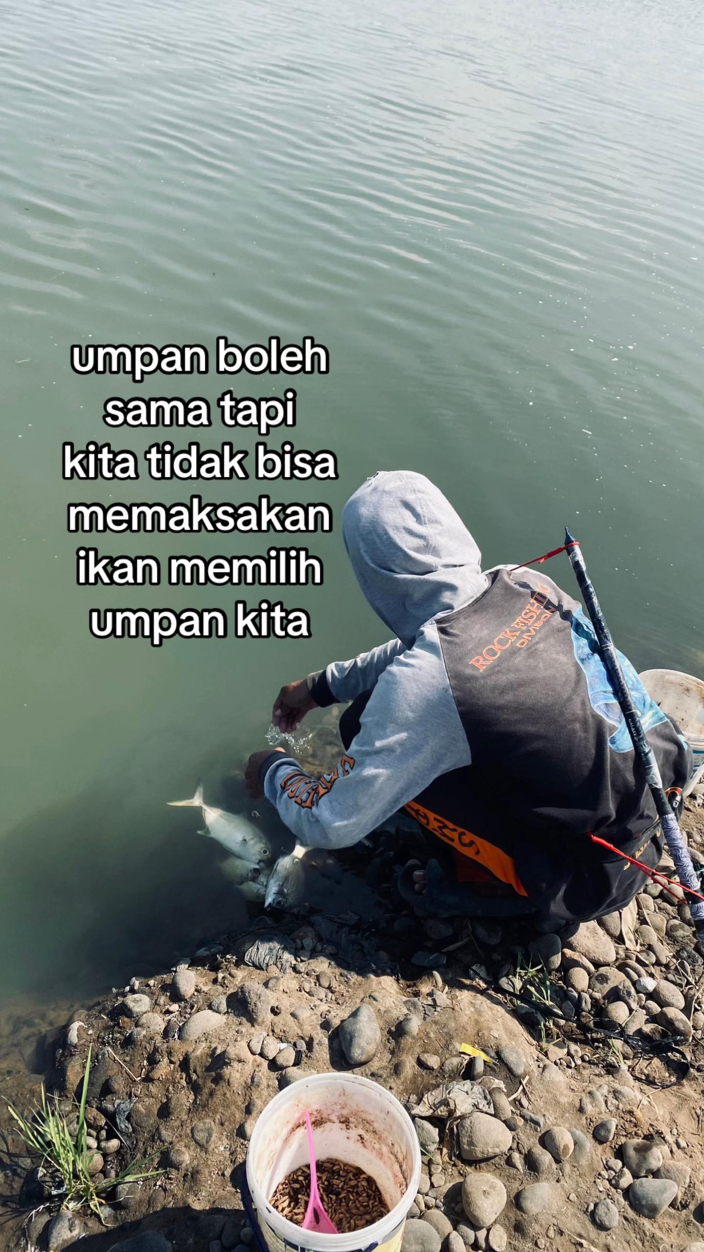 @alip