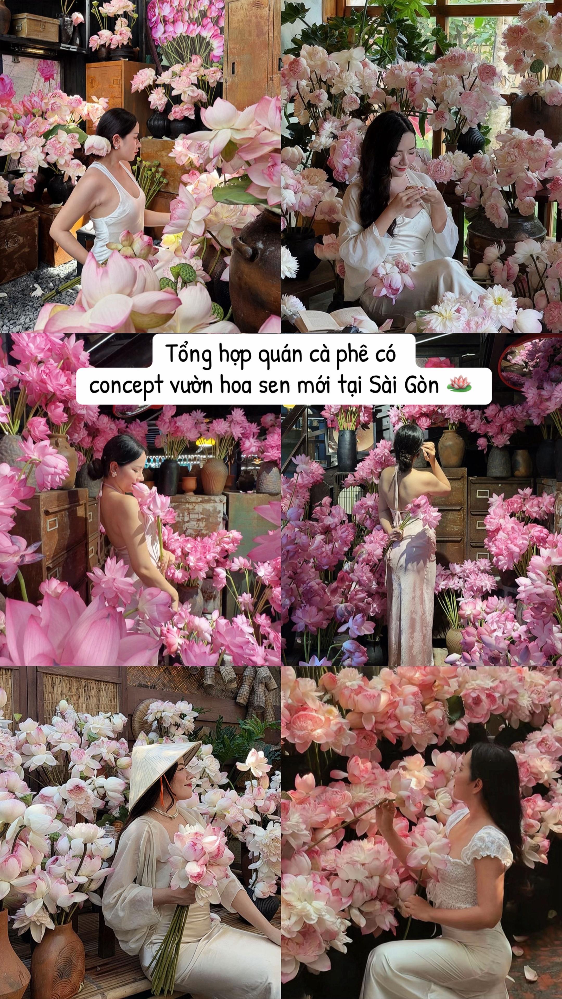 @thao leader