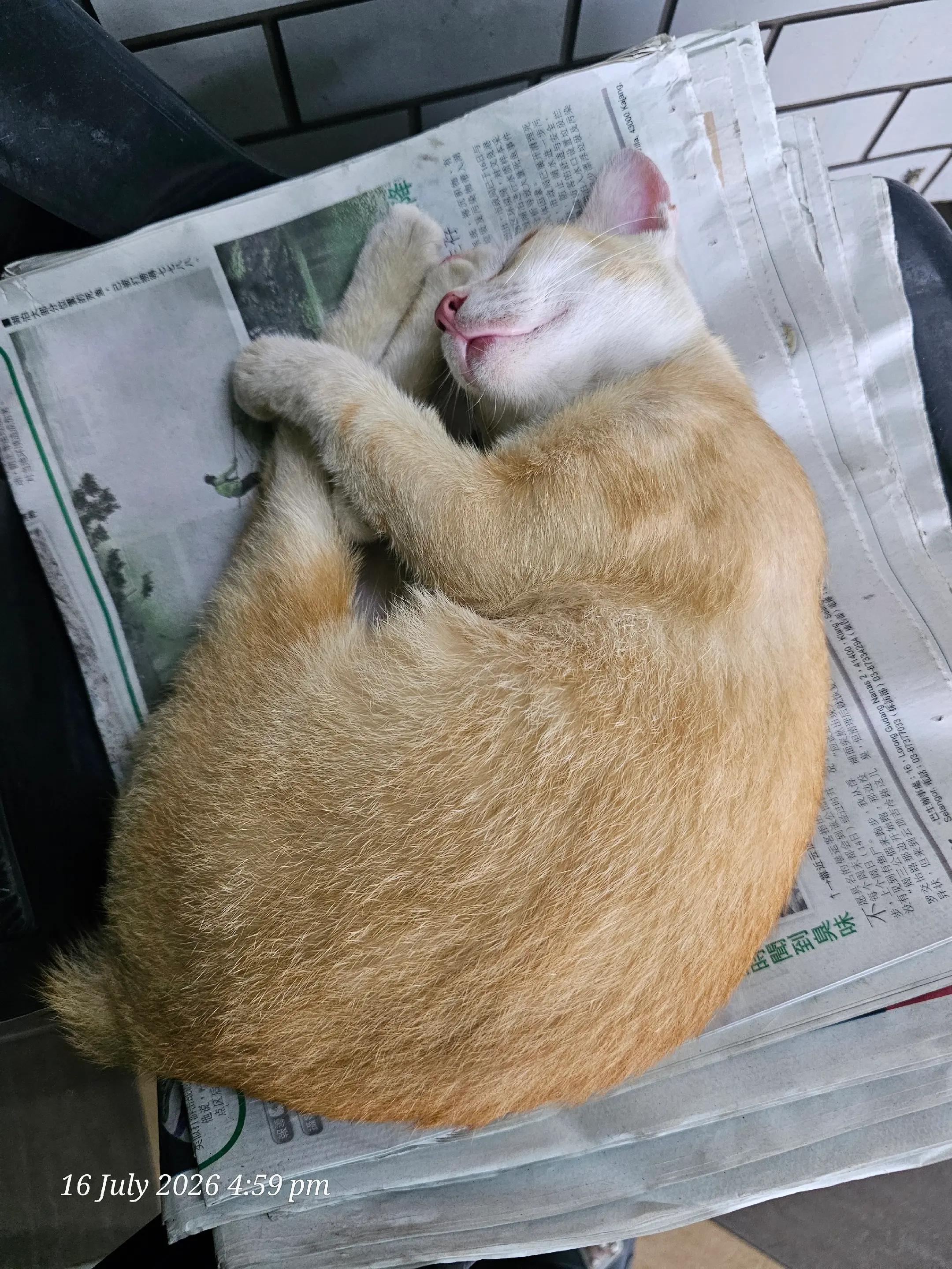 @AyuMasayu Kalamudin