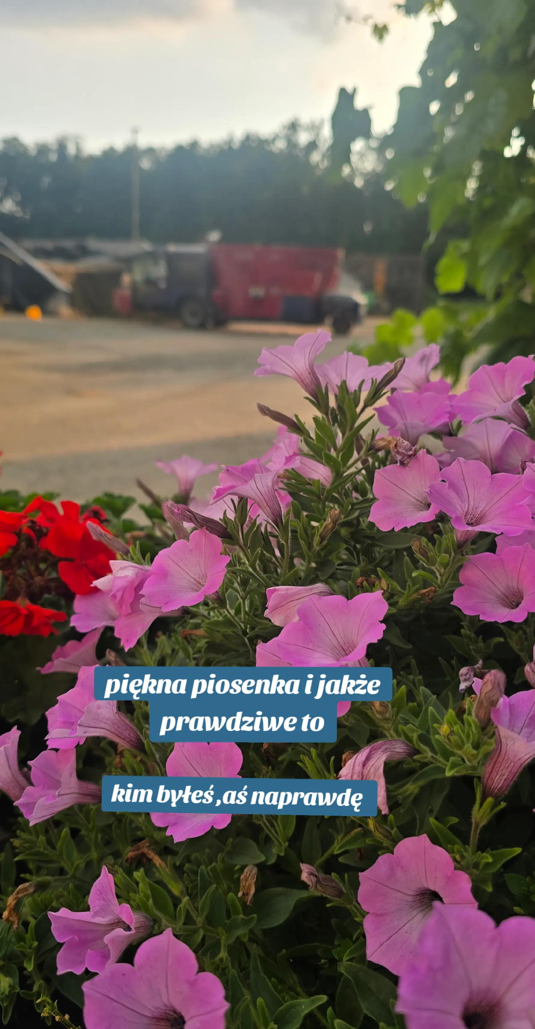 @rolniczka_pogodzinach