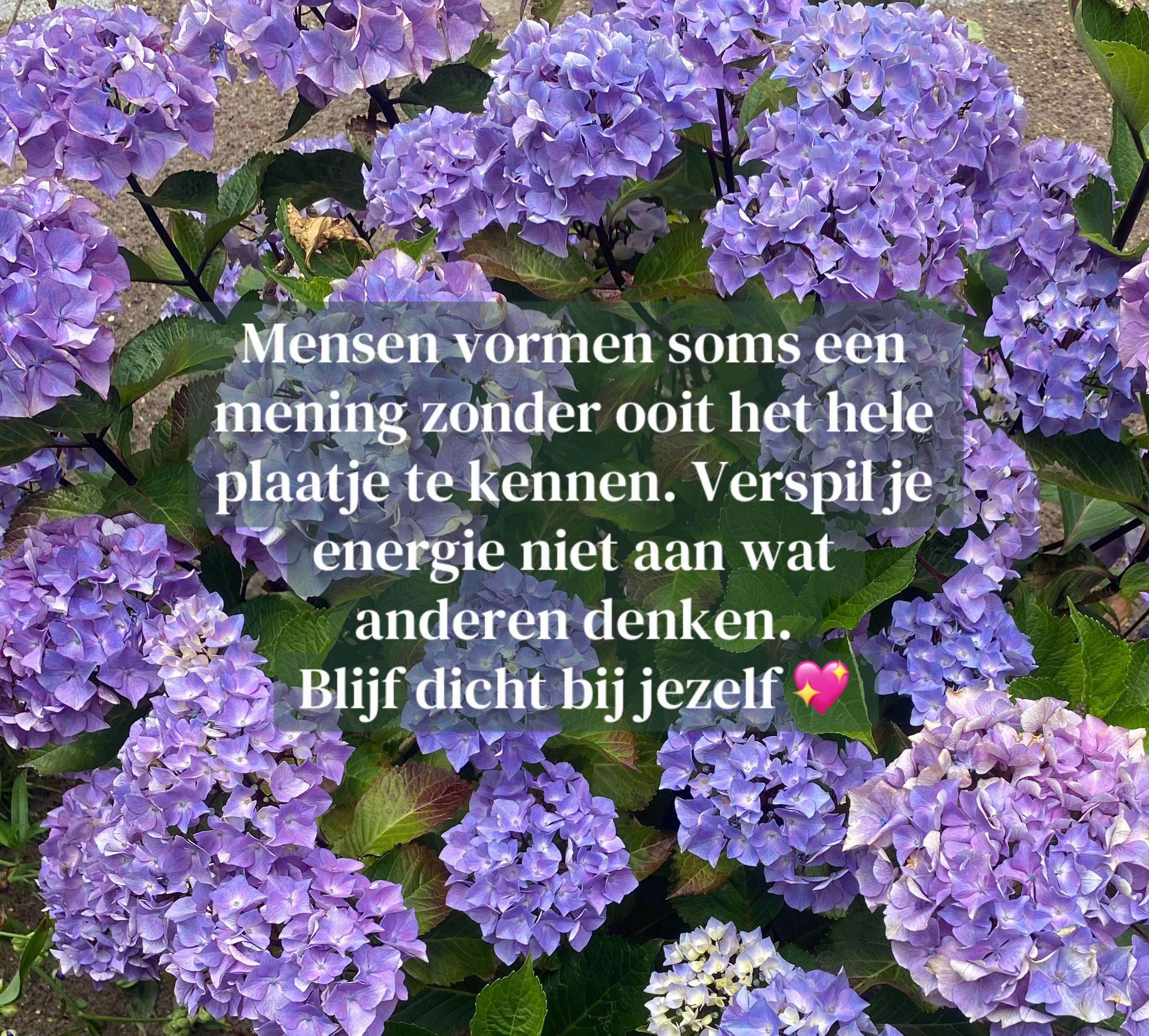 @Marloes.