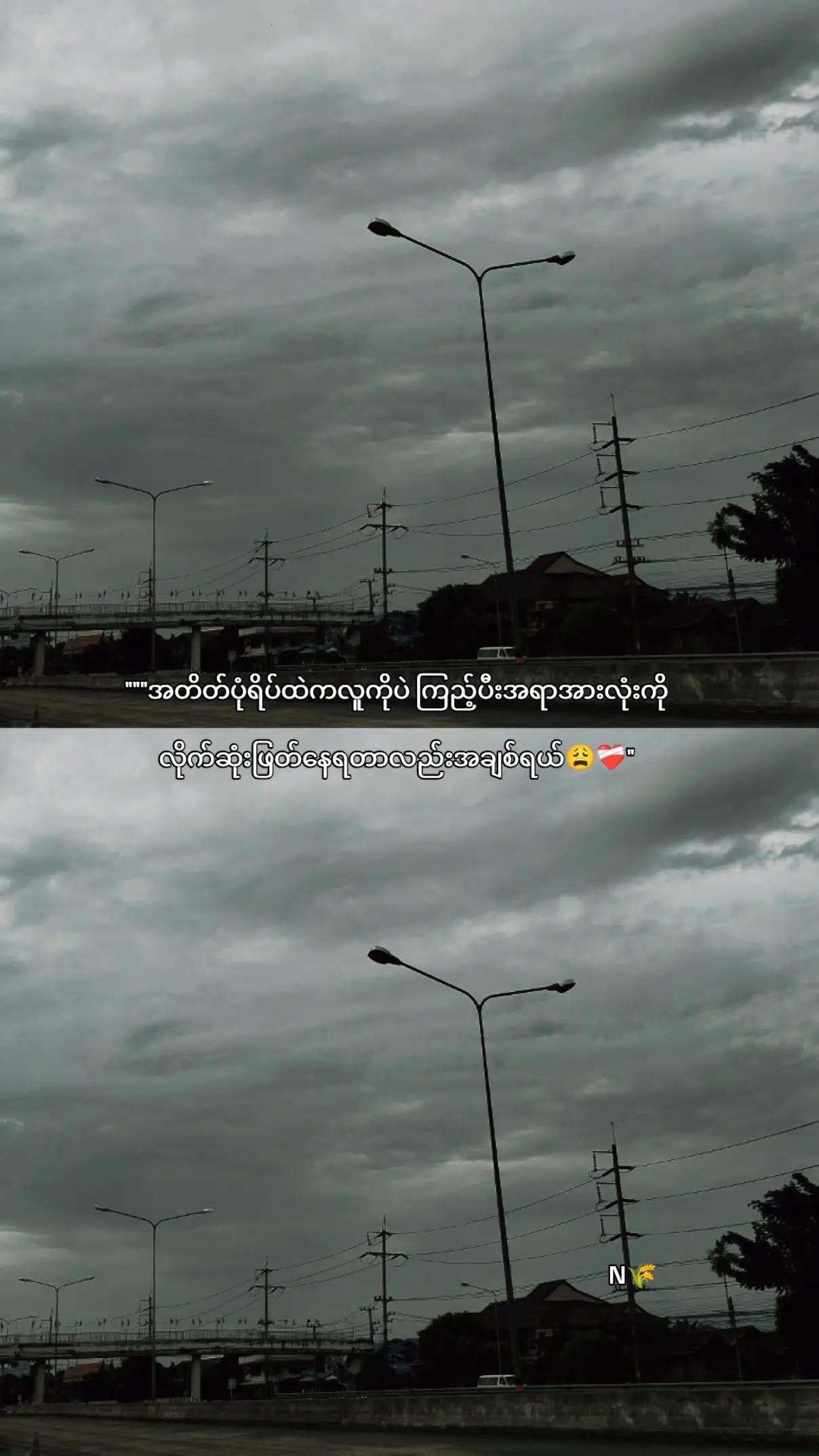 @ᴀɴʏᴀʀᴛᴀʀ🌾N