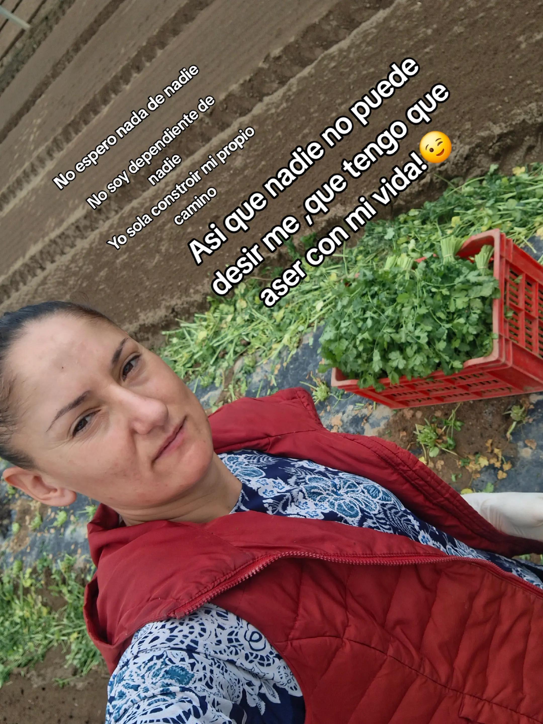 @desi