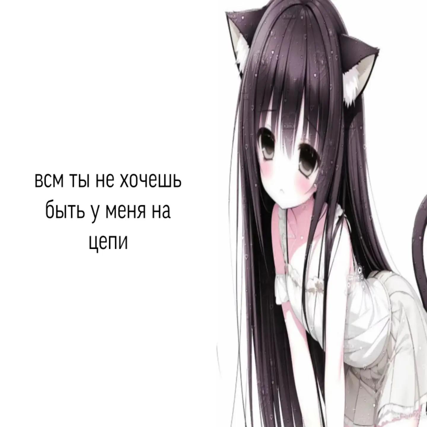 @Архангельская Сакура