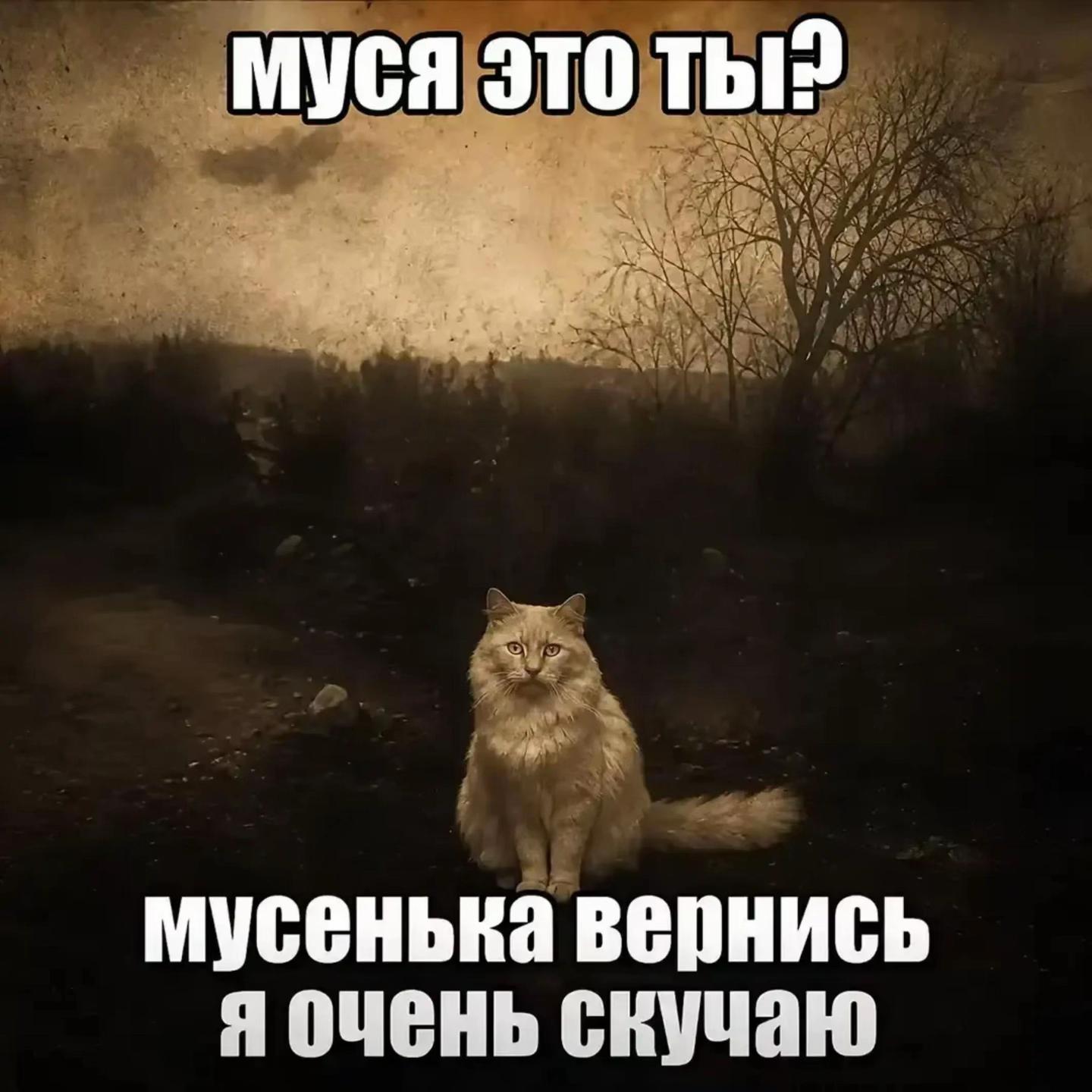 @@chapanskiy