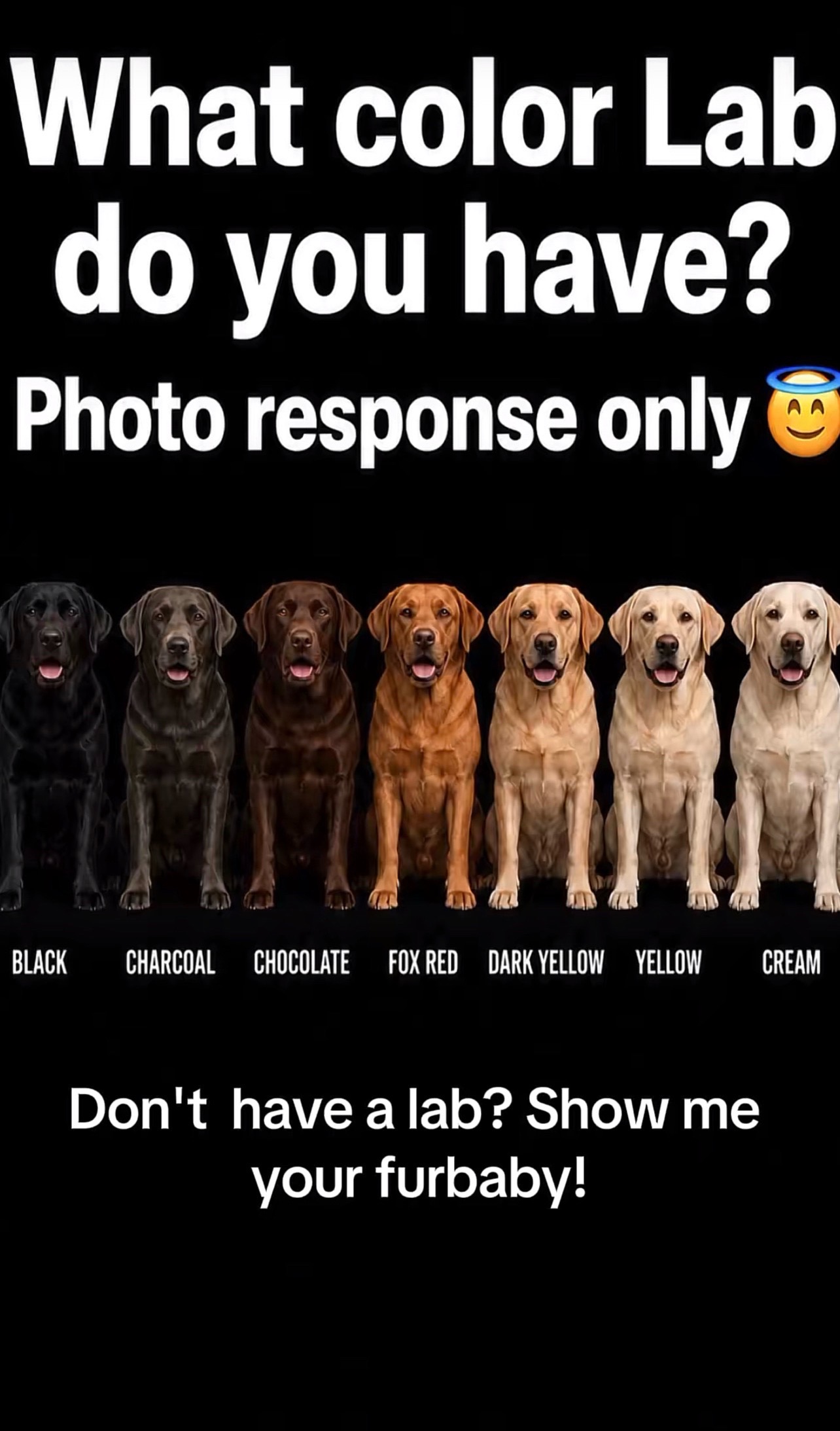 @guinness_beau