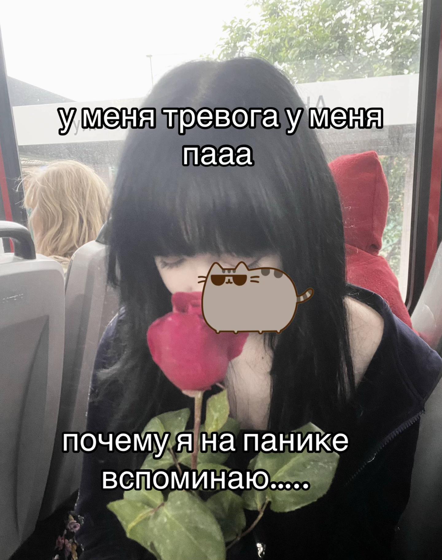 @reze01ml