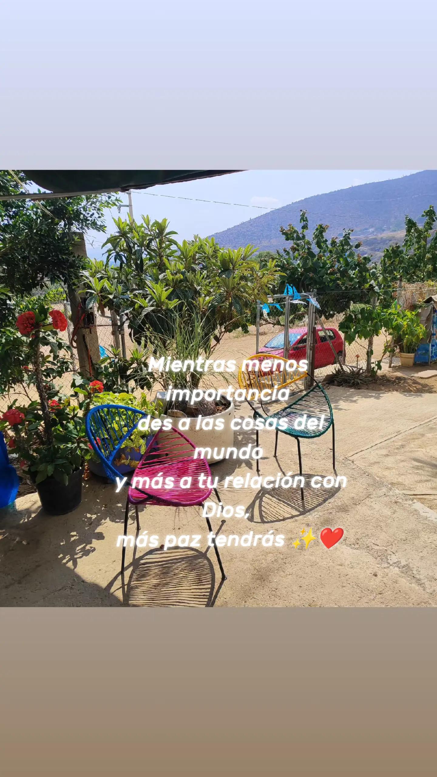 @Miss Mimi