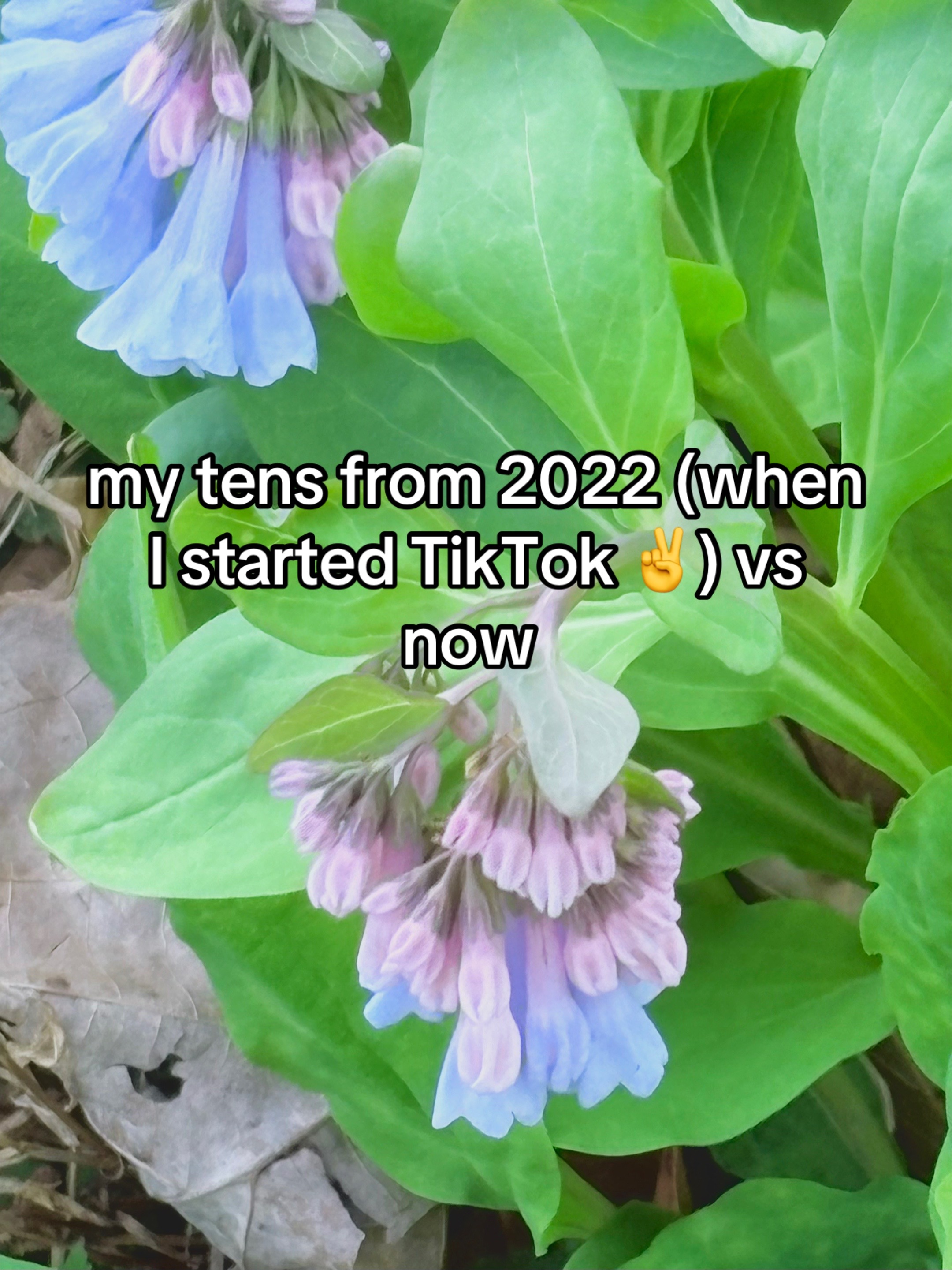 @iloveconsumingplastic