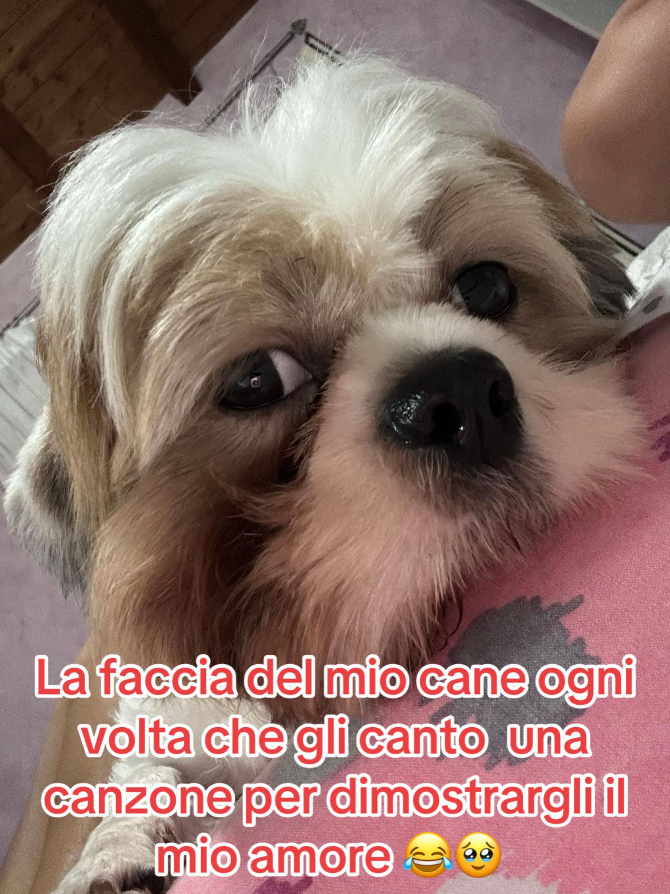 @♥️ FedeGinniOri♥️