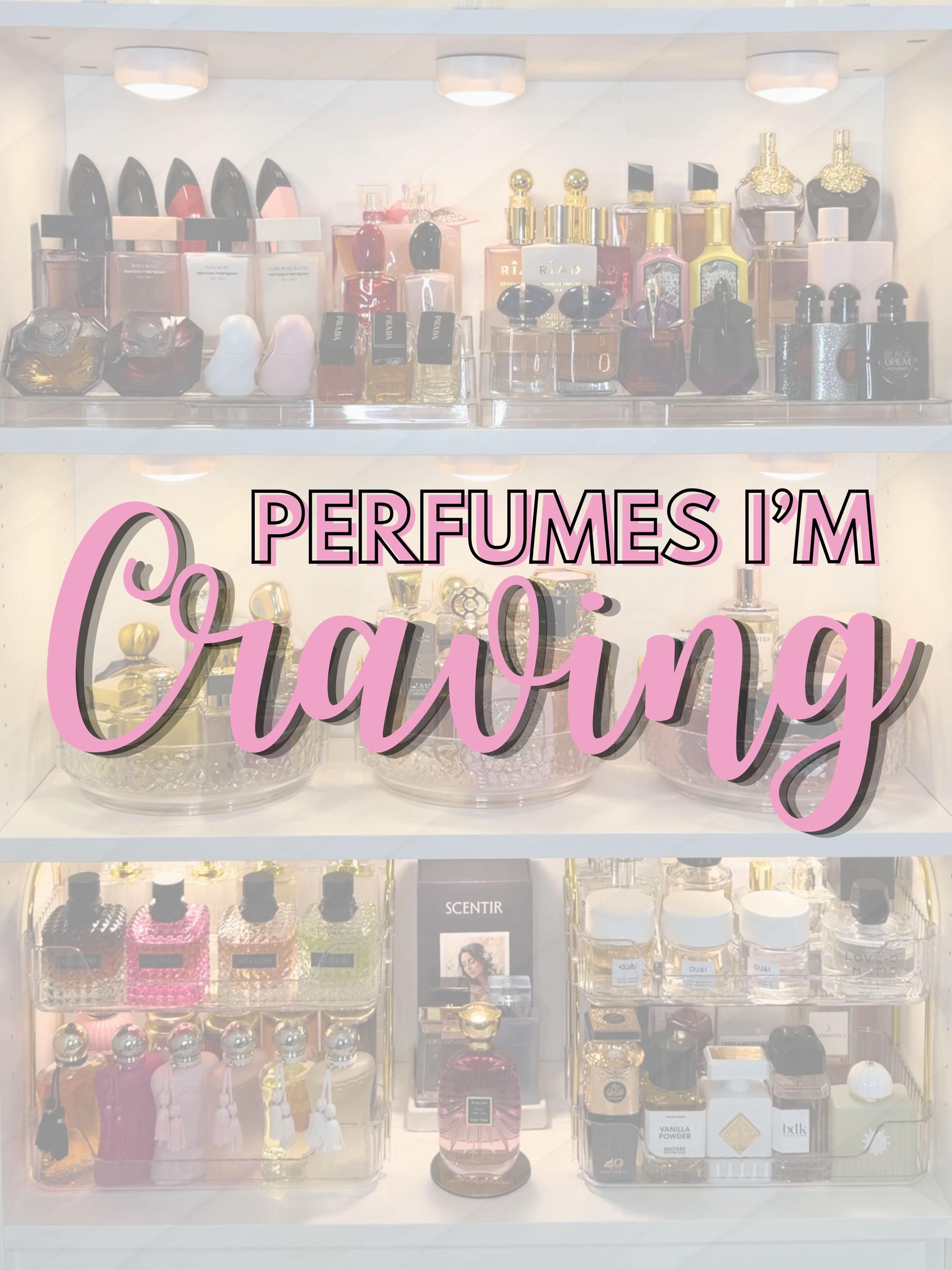 @Lolo ♡ | Perfume Diary