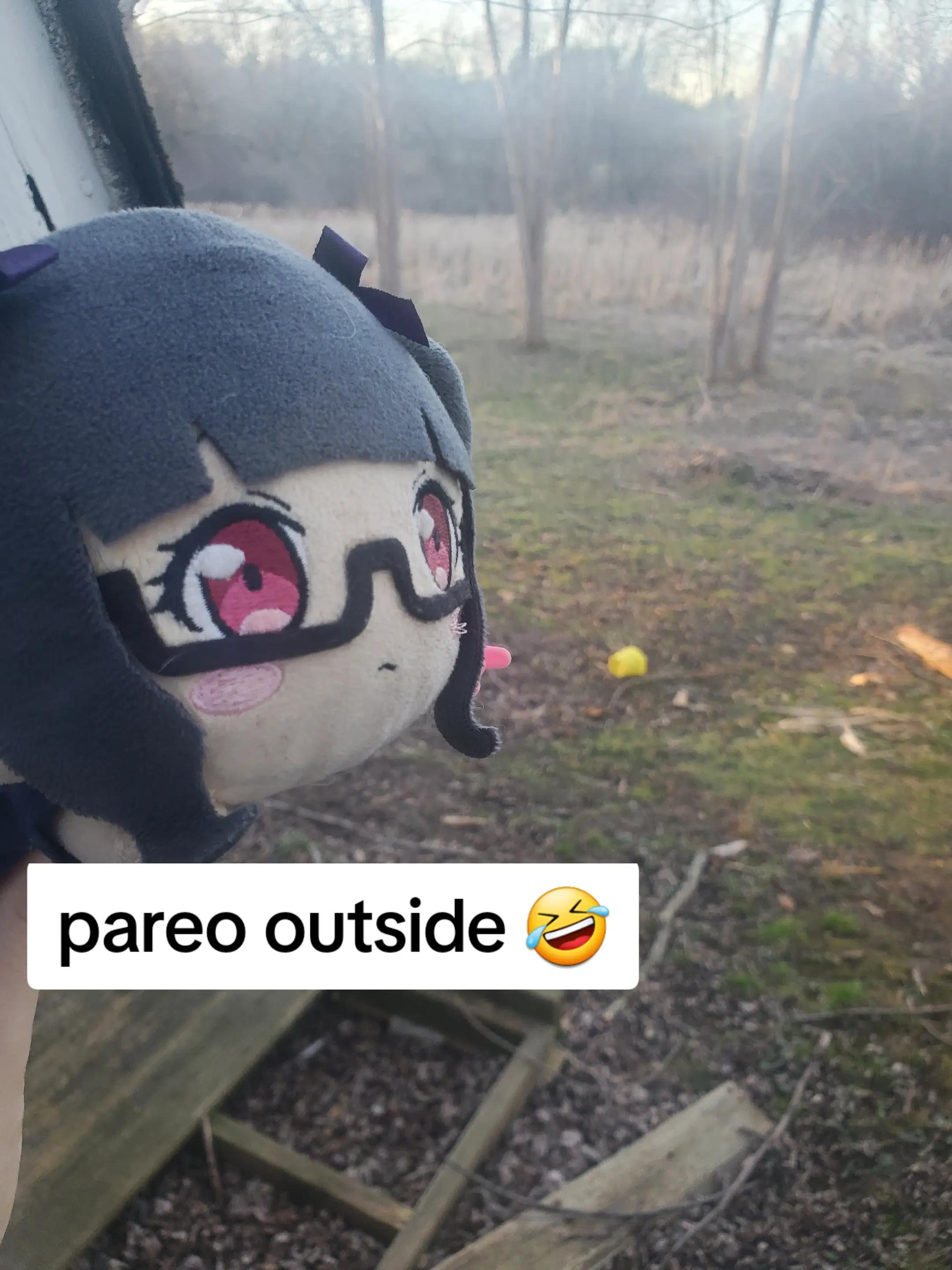 @💗pareo #1 fan 🌸