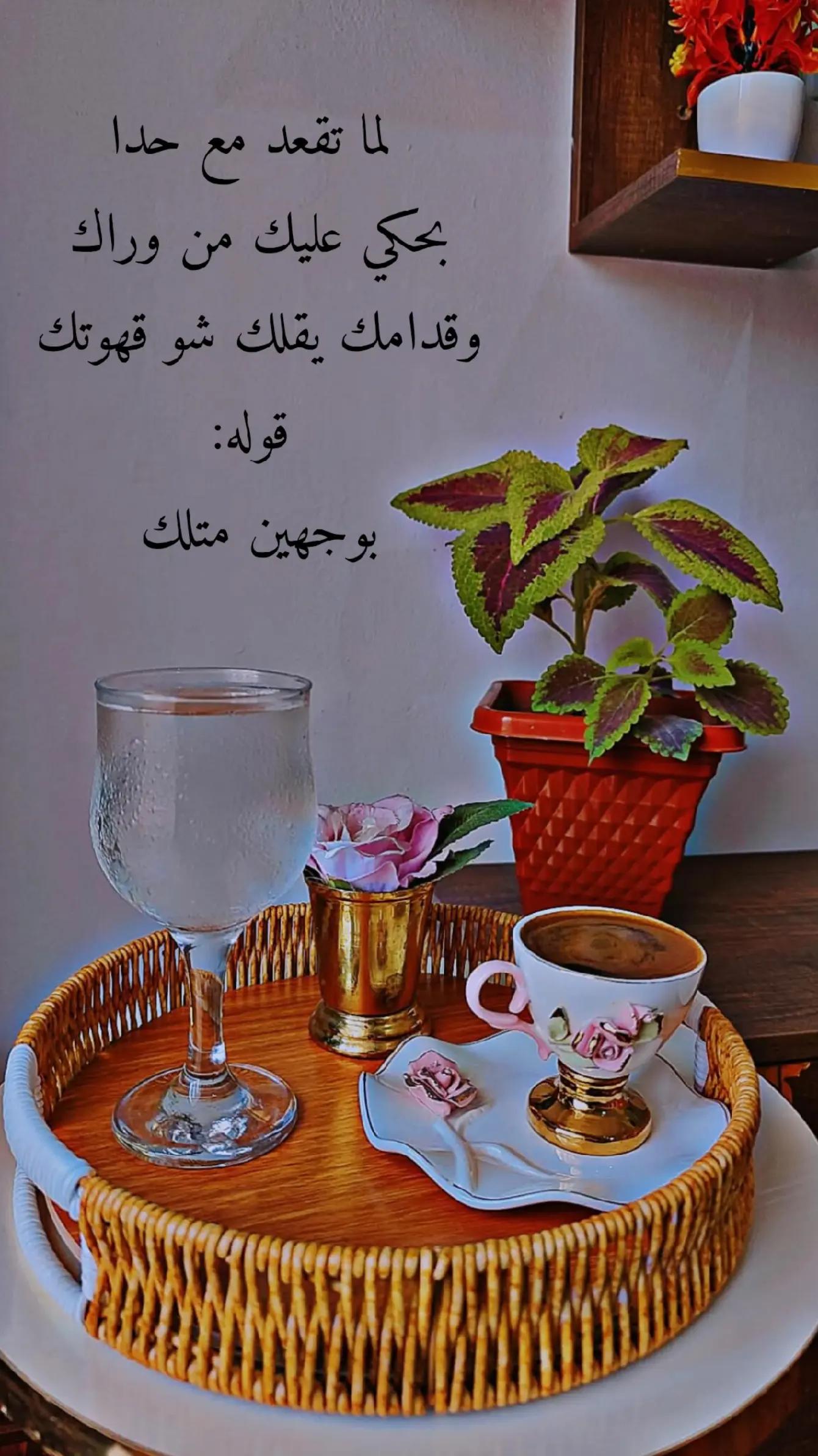@عبير الورد🍃❤️