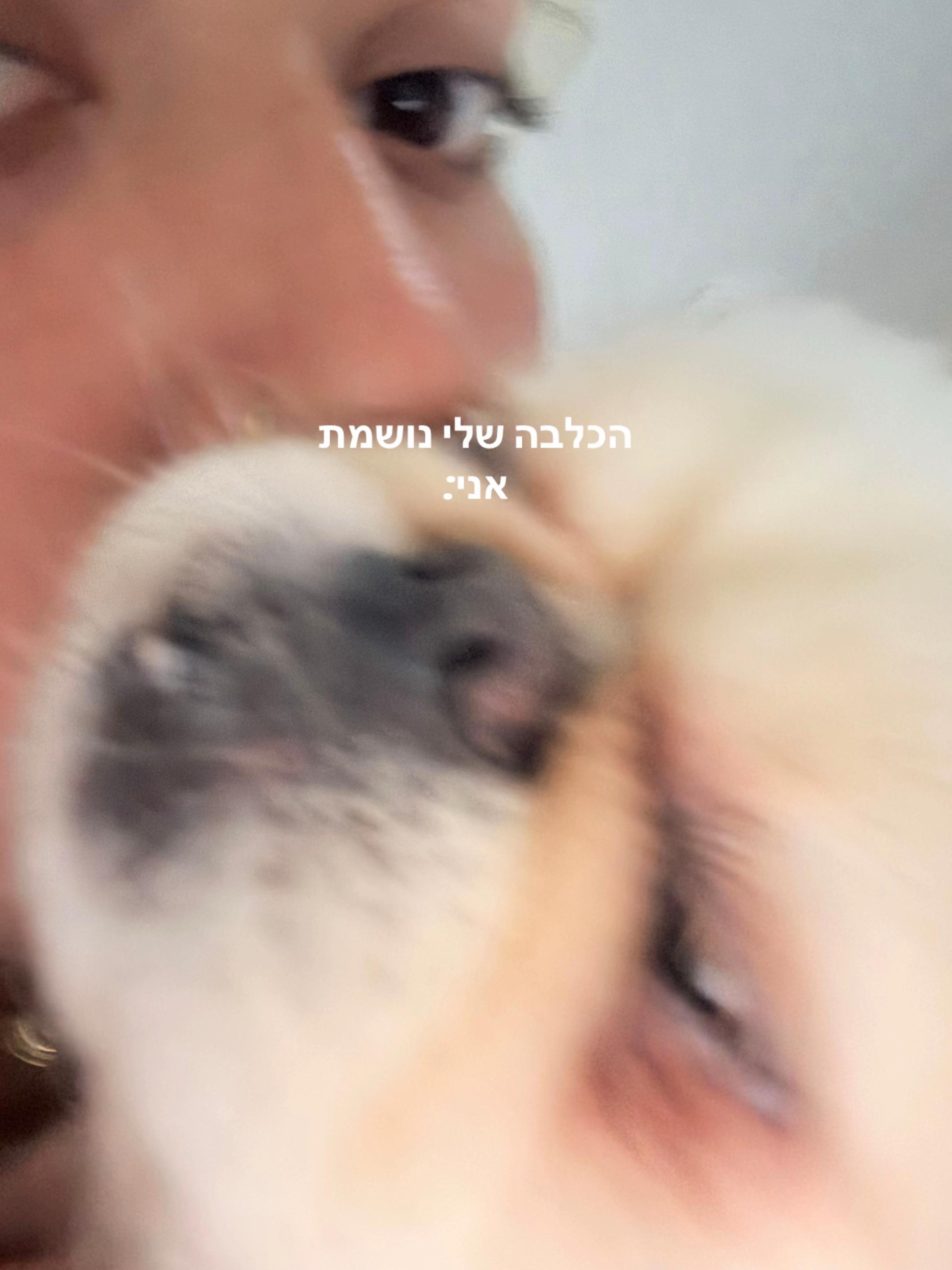 @ืืื ๐