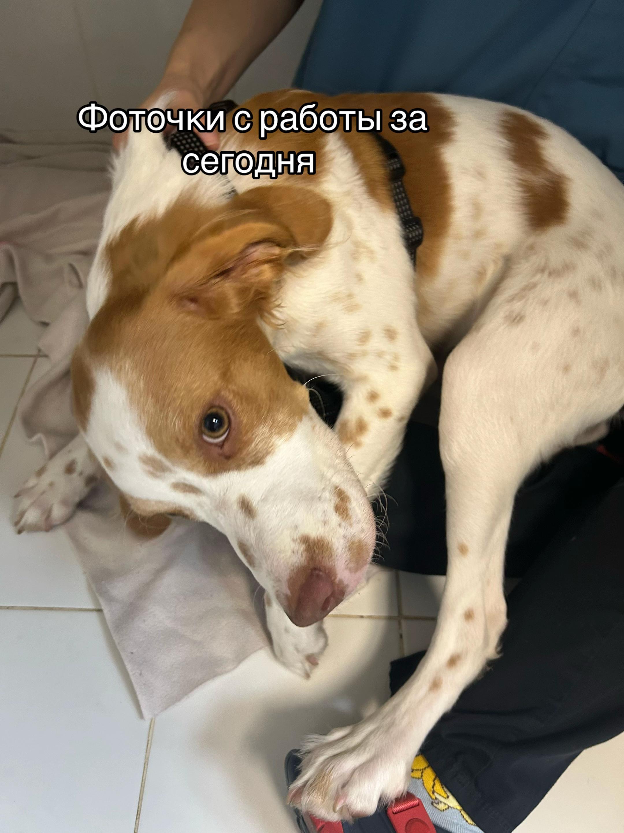 @Бельферг