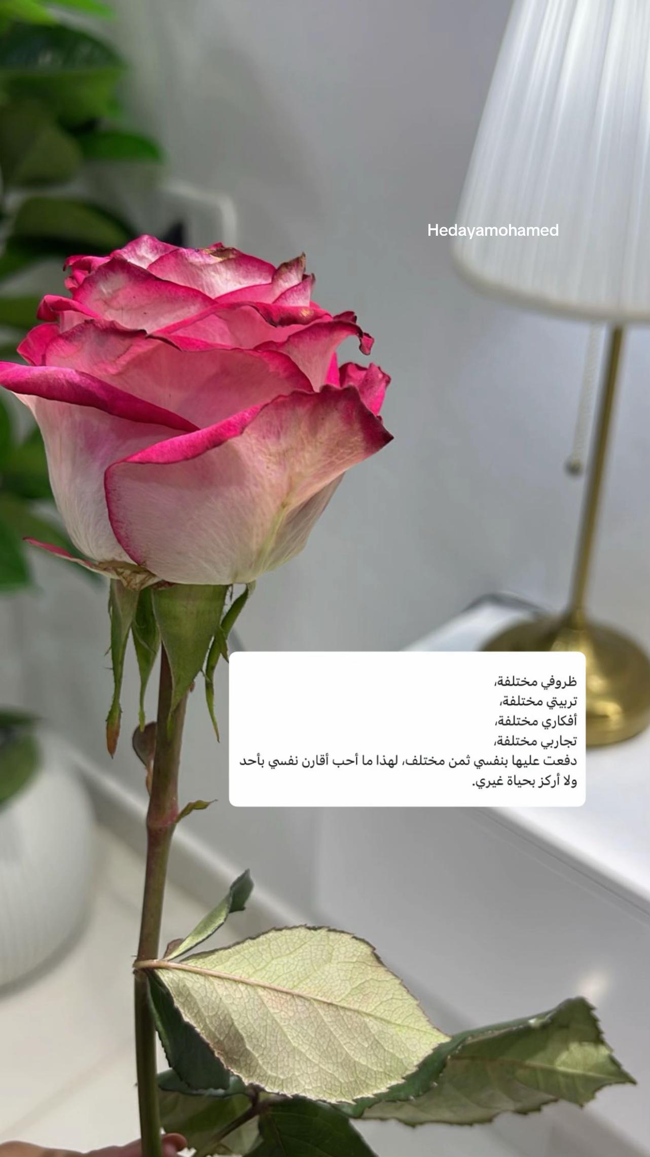 @Eng:hedaya💙